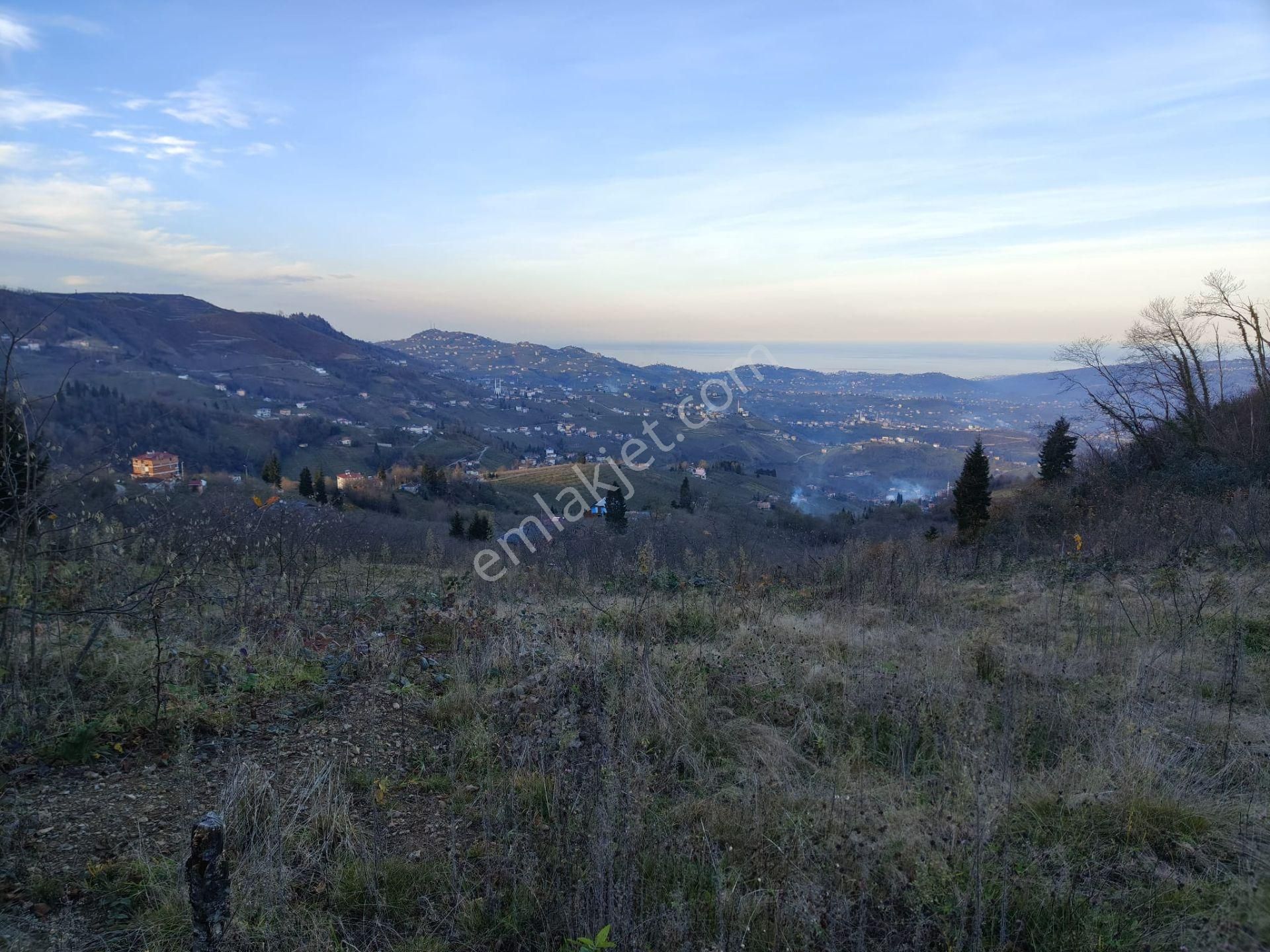 Trabzon Mağmat Kamışlı Satılık 9365 M2 Arsa - Görsel 10