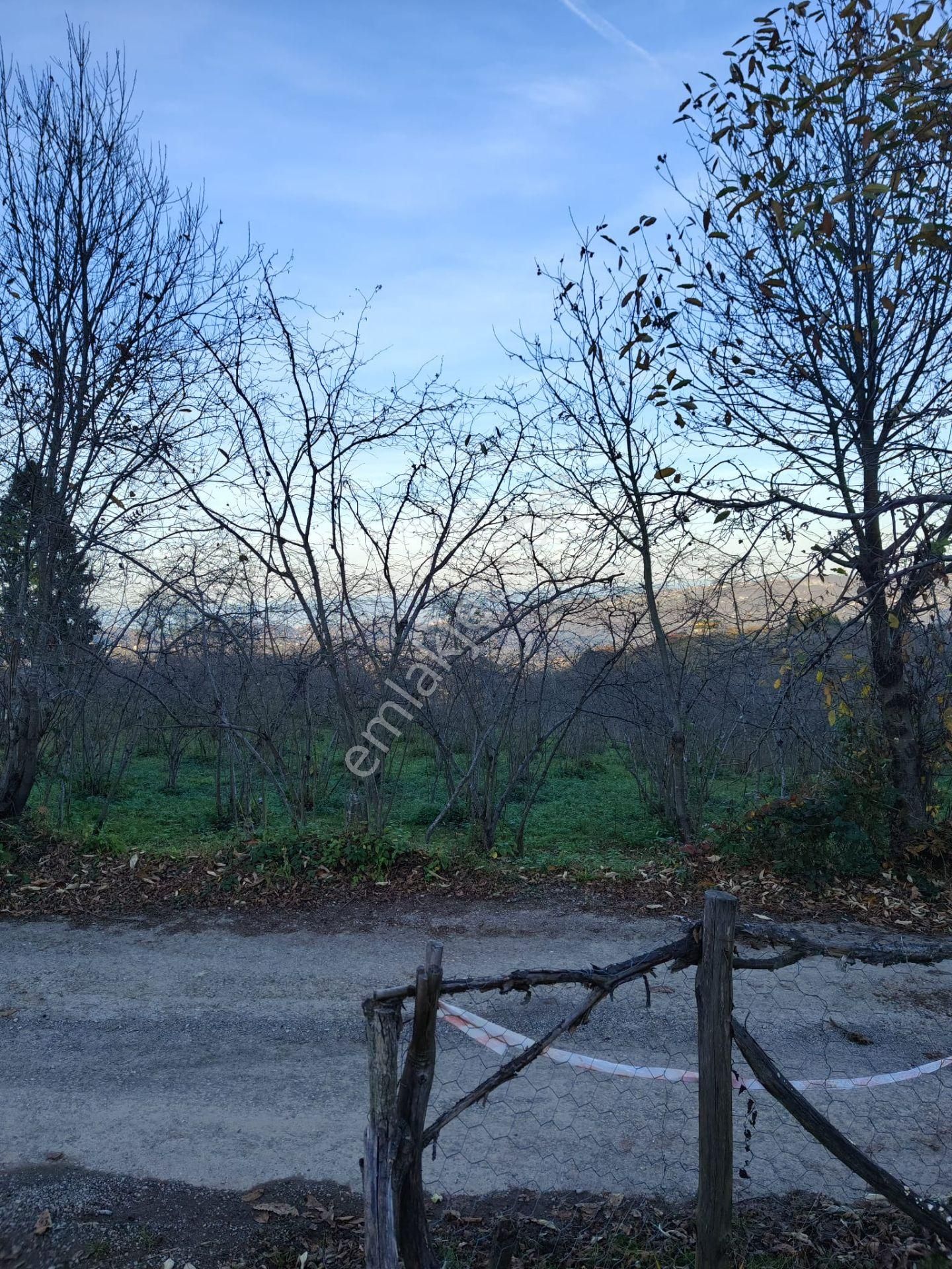 Trabzon Mağmat Kamışlı Satılık 9365 M2 Arsa - Görsel 29