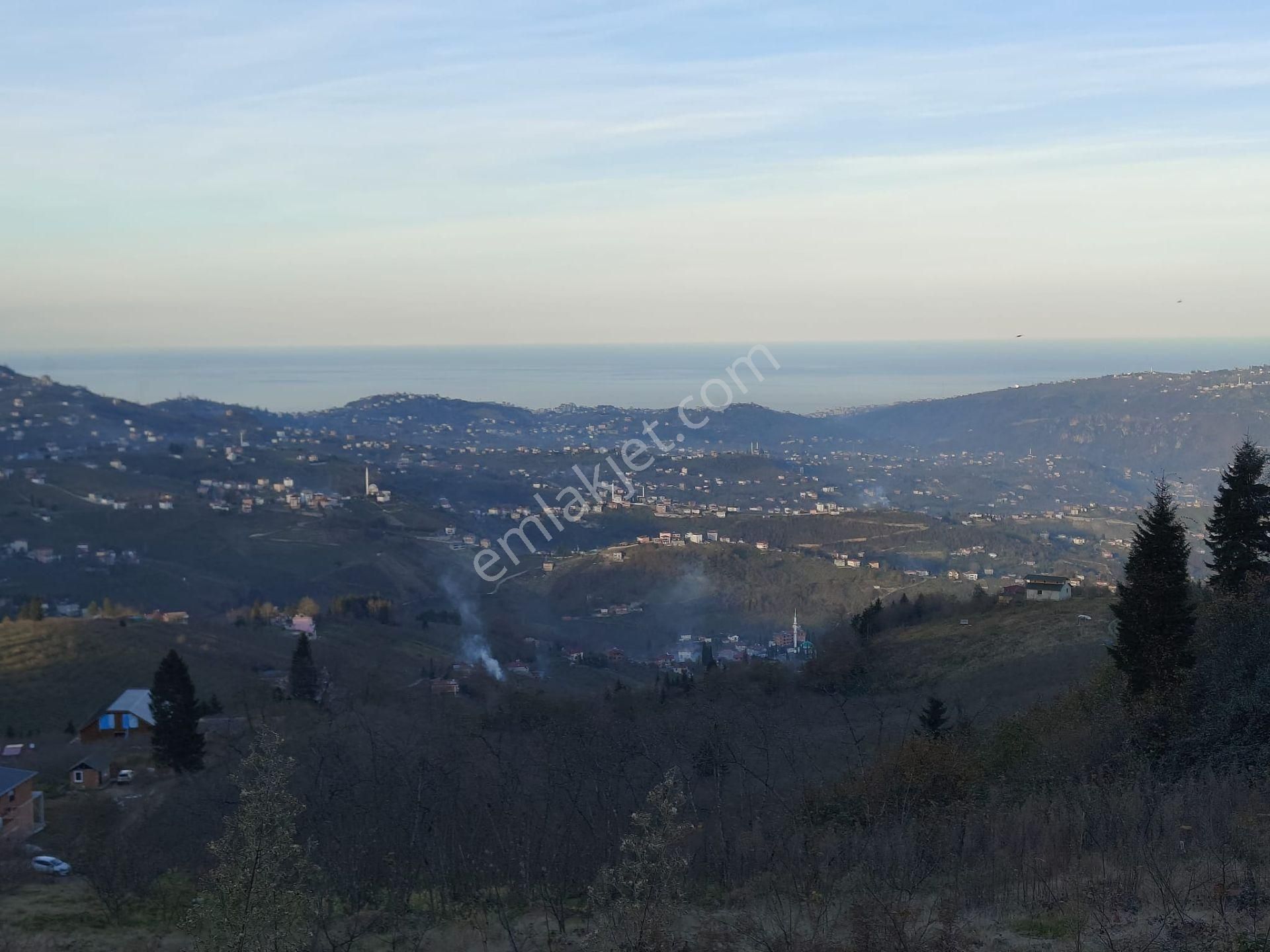 Trabzon Mağmat Kamışlı Satılık 9365 M2 Arsa - Görsel 13