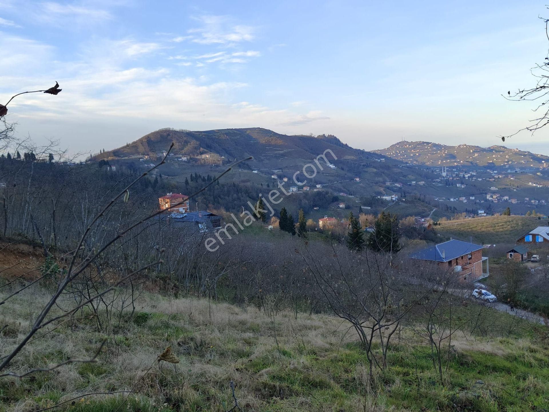 Trabzon Mağmat Kamışlı Satılık 9365 M2 Arsa - Görsel 17