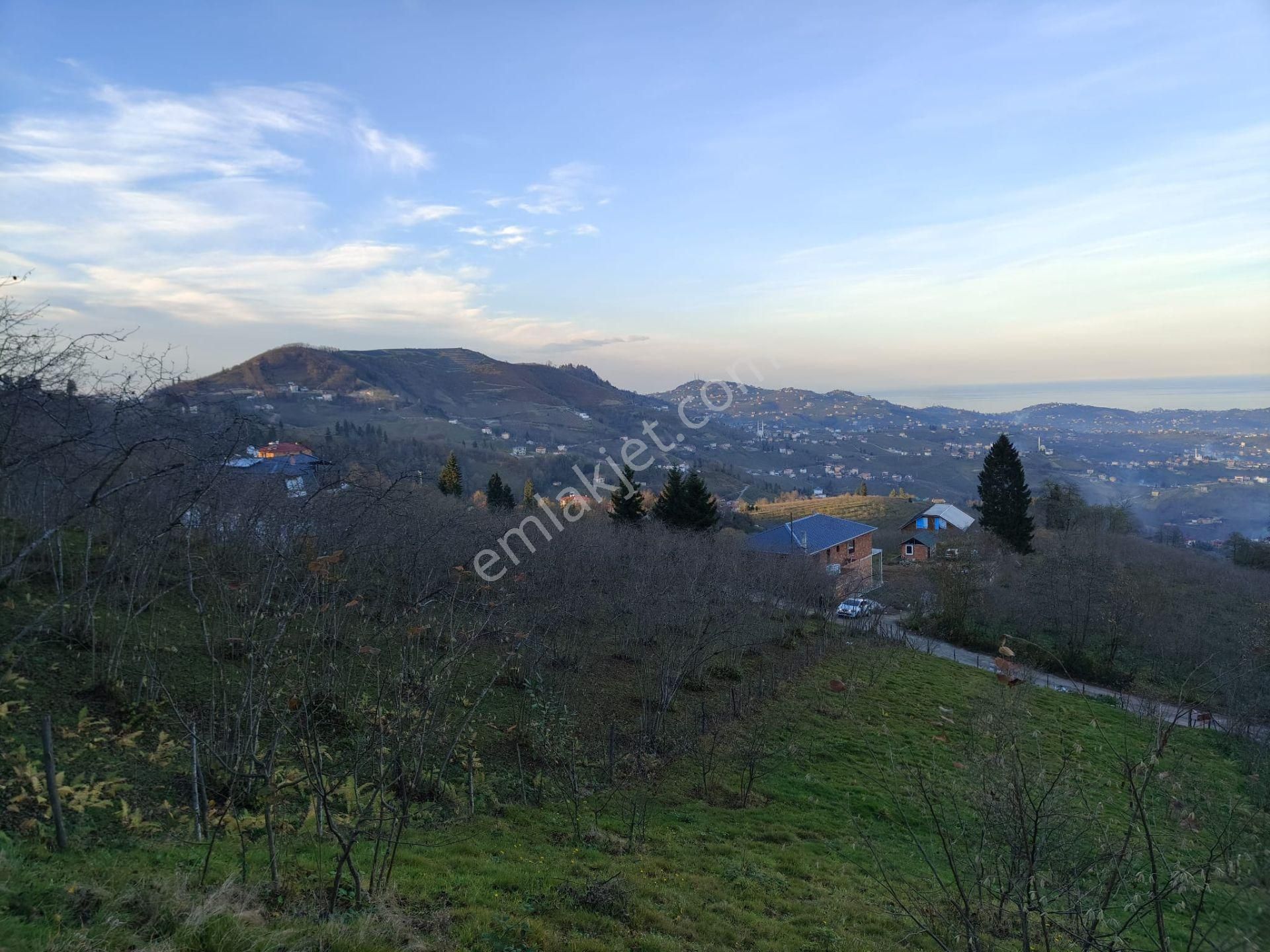 Trabzon Mağmat Kamışlı Satılık 9365 M2 Arsa - Görsel 4