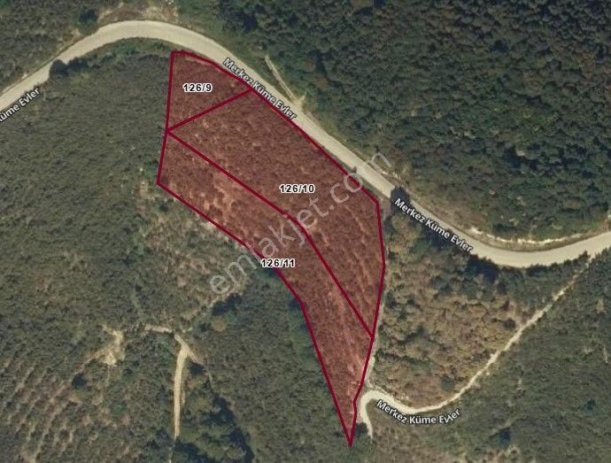 Cumayeri Sırtpınar Köyü'nde Ana Yol Kenarı Satılık Fındık Bahçesi