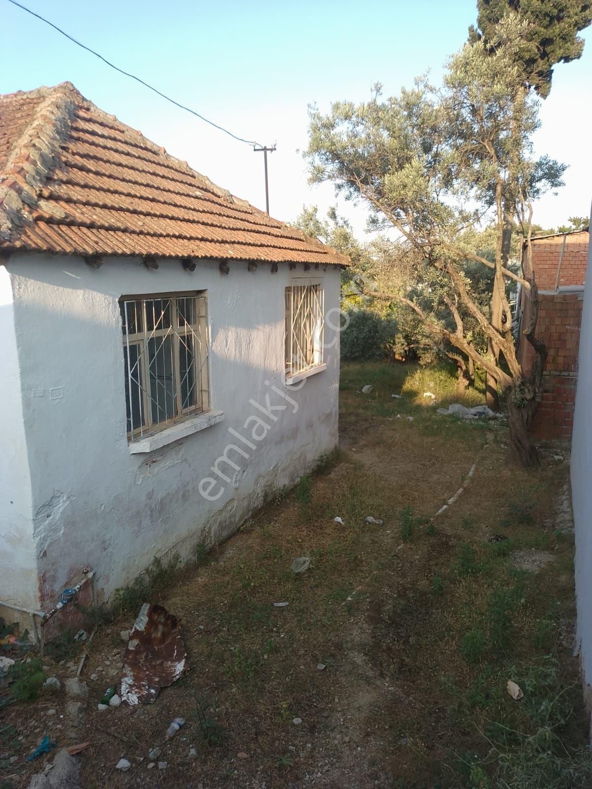 Germencik Ortaklar Merkezde İçerisinde Ev Bulunan 1099 M2 Arsa