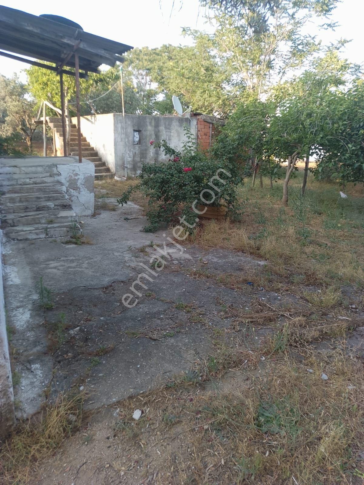 Germencik Ortaklar Merkezde İçerisinde Ev Bulunan 1099 M2 Arsa - Görsel 5