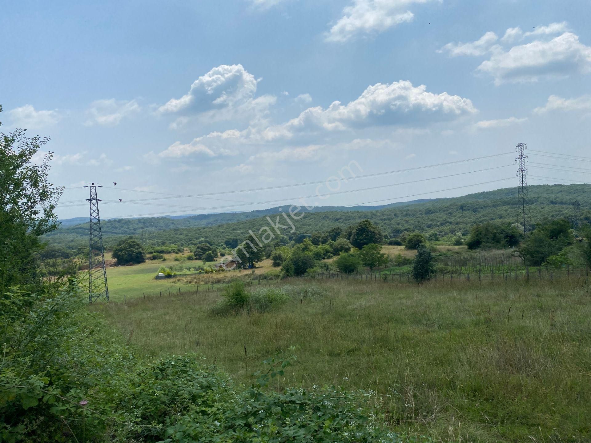 Fırsat-şile Teke Satılık İmarlı Arsa-yolu Açık-1451m2