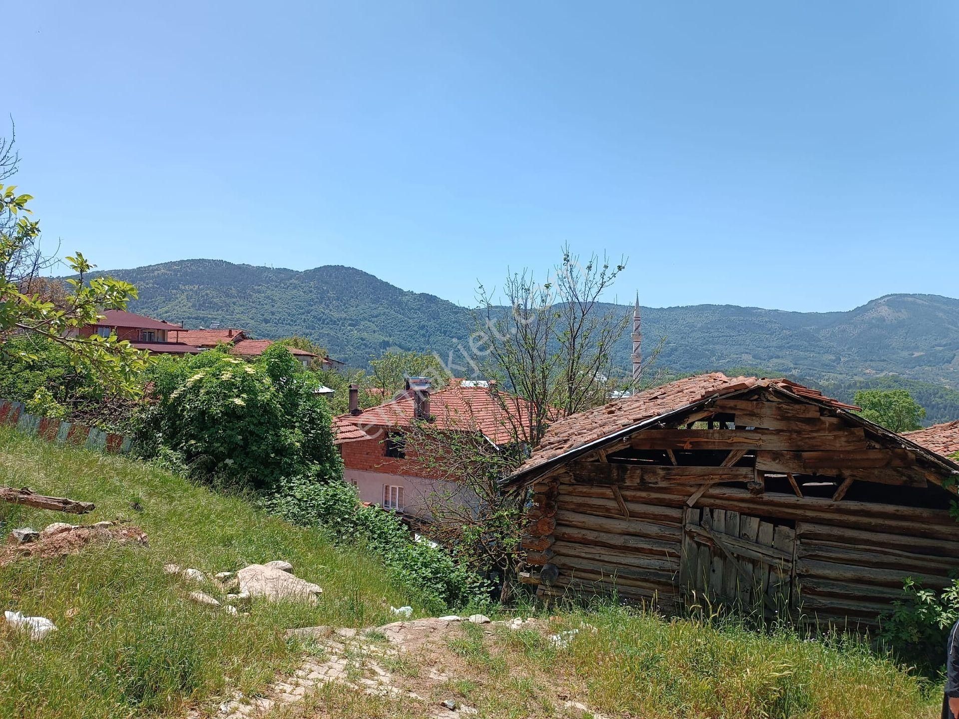 Bursa Keles İlçesi Düvenli Köyü’nde, 8.801 M² Büyüklüğünde, Geniş Ve Verimli Arazi