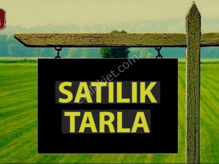 Niğde Çamardın Orhaniye'de Tek Tapu 13.562 M2 Alternatifsiz Fırsat