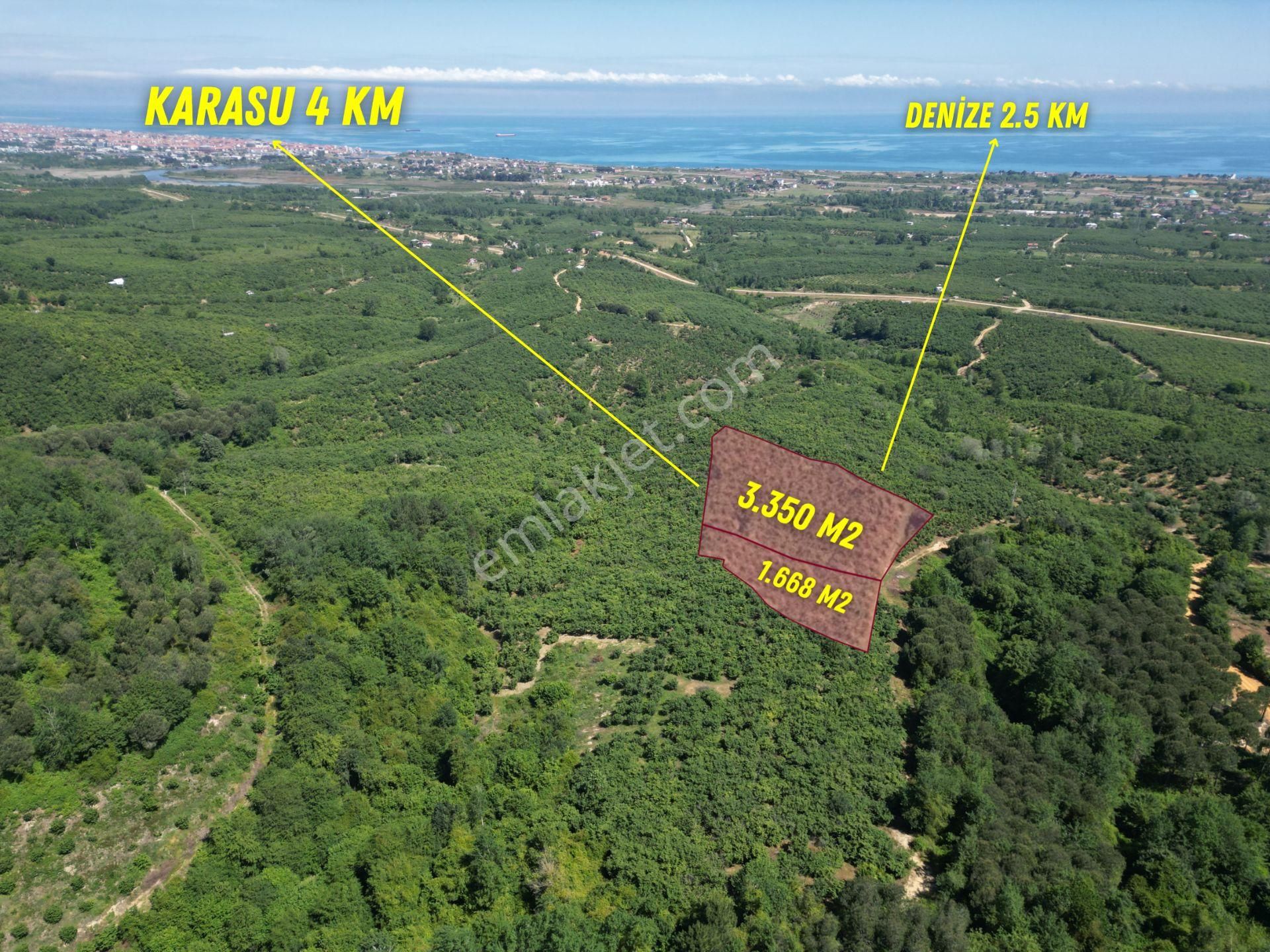 Filiz Emlak'tan Deniz Manzaralı 1.668 M2 Satılık Fındıklık