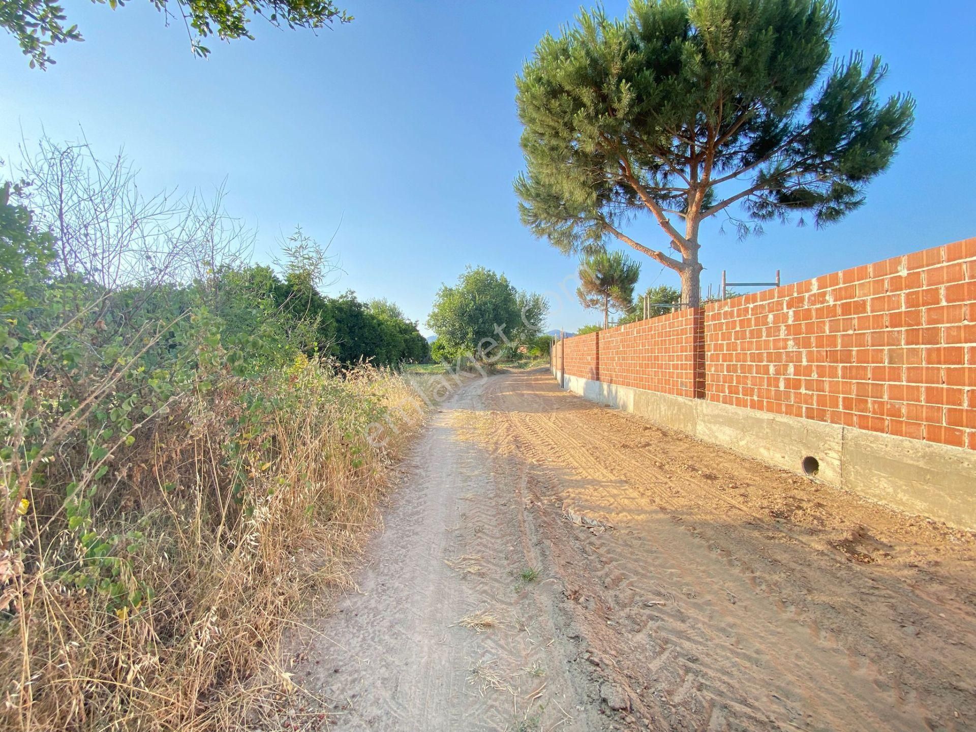 Nazilli Hamzallı Mahallesinde 700 M2 Konut İmarlı Arsa