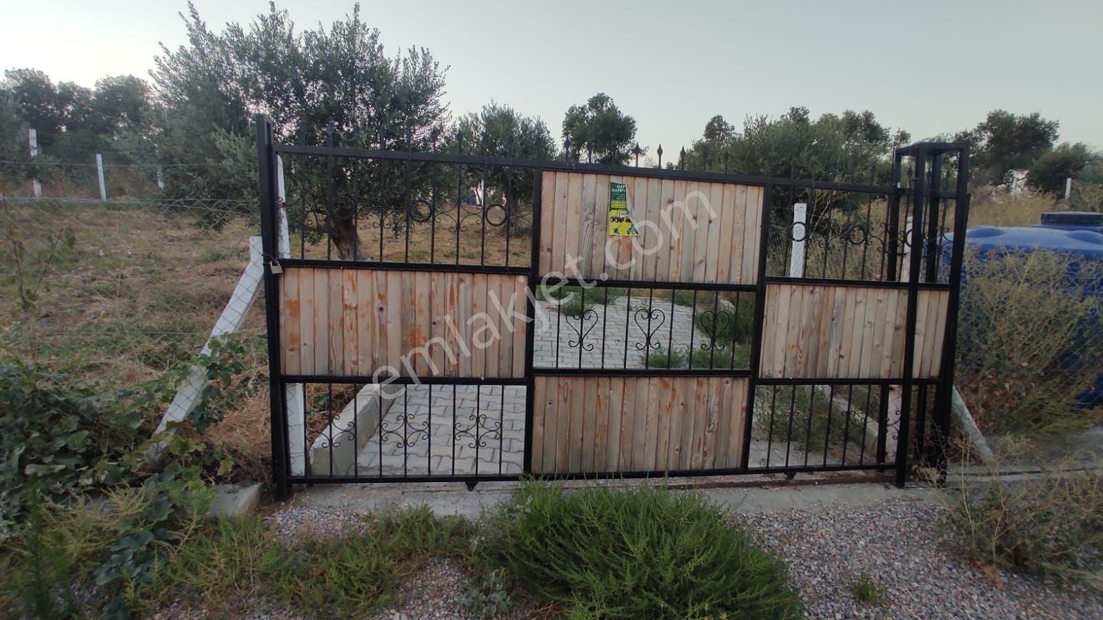 Kemalpaşa Cambel 382 M2 Bahce