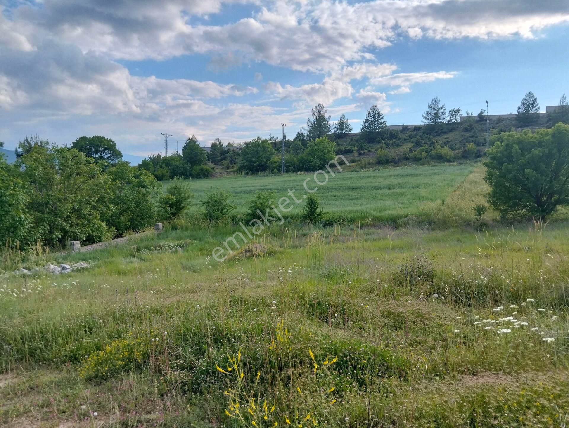 Safranbolu Yazıköyde Köy Sınırları İçinde 690 M2 Tarla Satılıktır