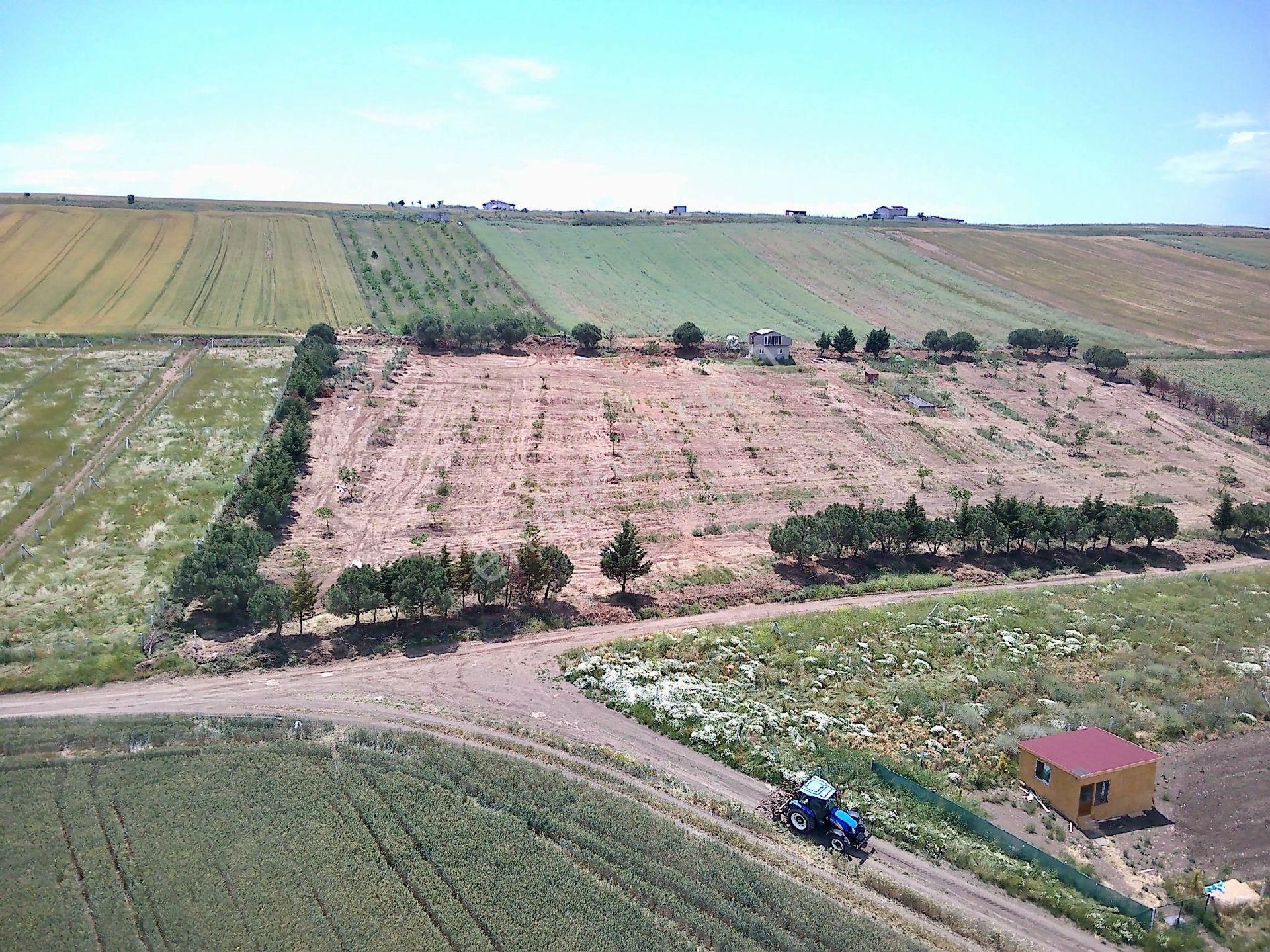 Tekirdağ Marmaraeğerlisi Çeşmeli Mahallesi De 254/1 Parsel 54 Âdet 300 M²