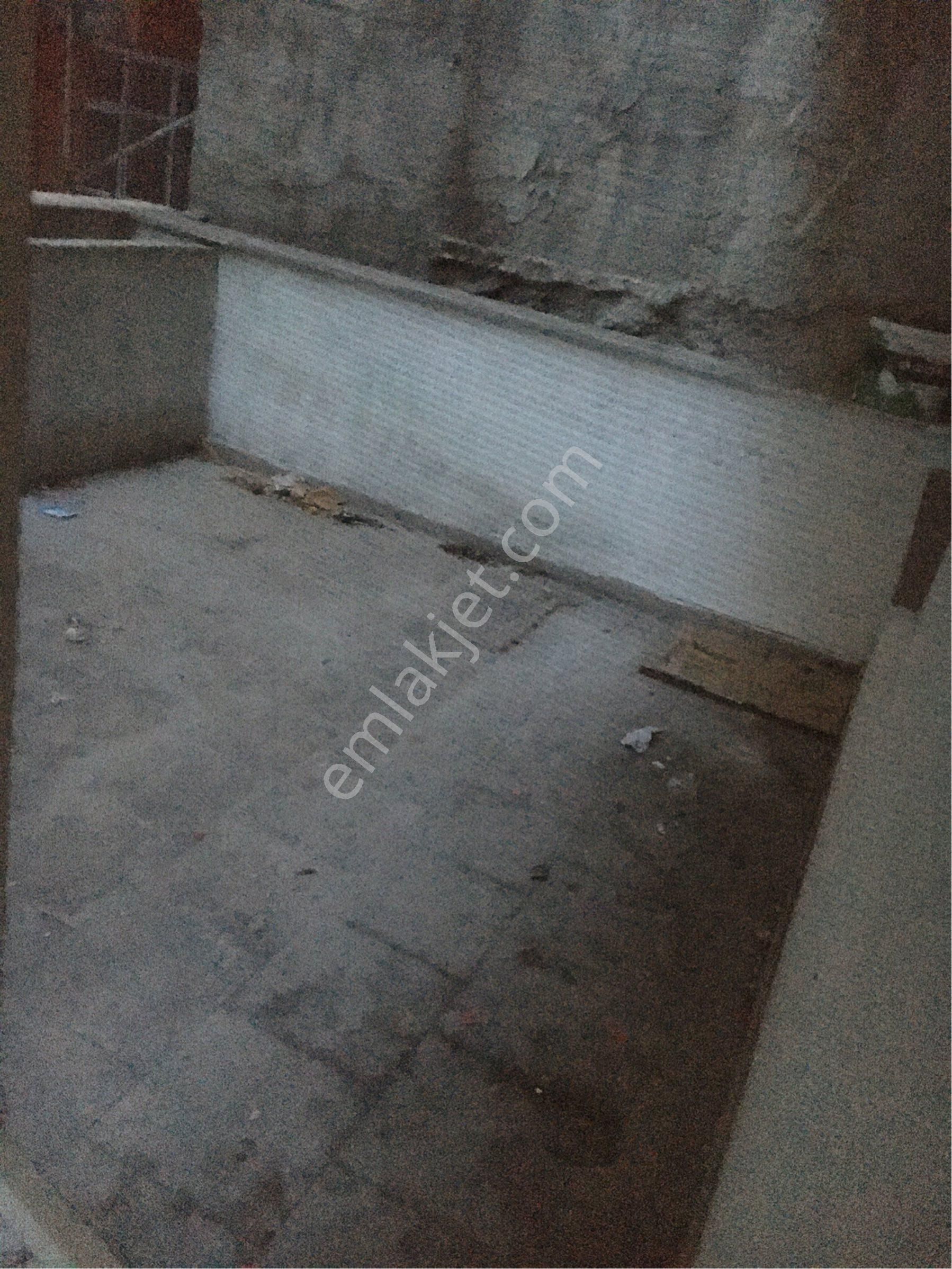 Kiralık Kadın Ev Arkadaşı