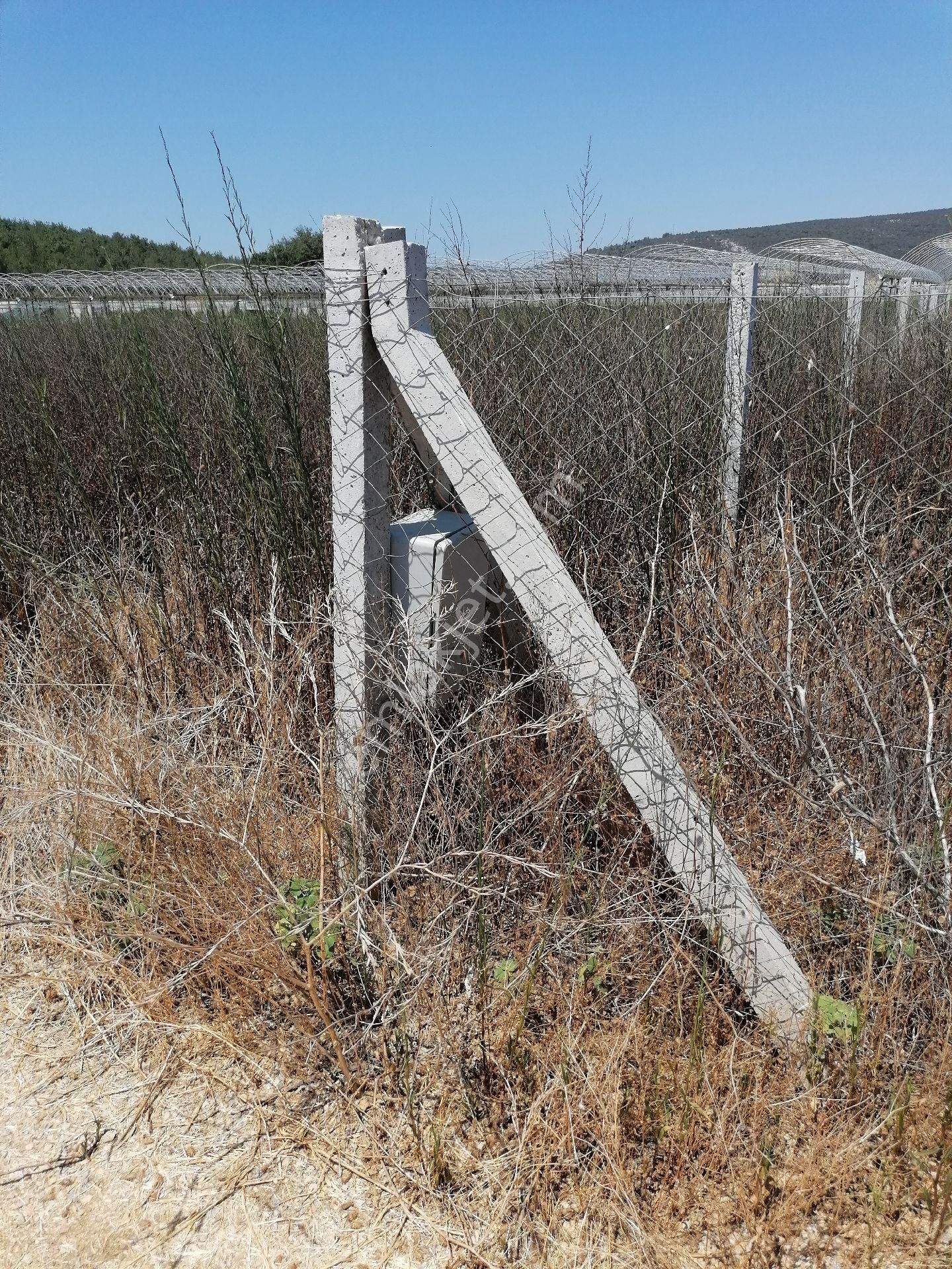 Sahibinden Satılık Kök Hisseli Tarla