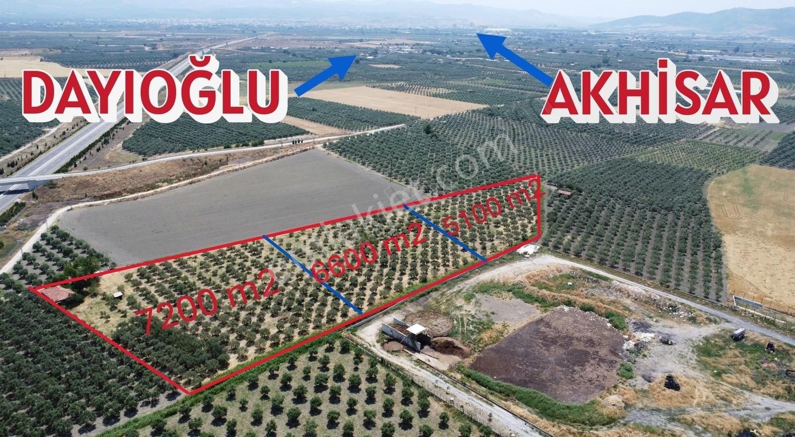 Ermiş Emlaktan Eroğlu Mah. Satılık Zeytinlik