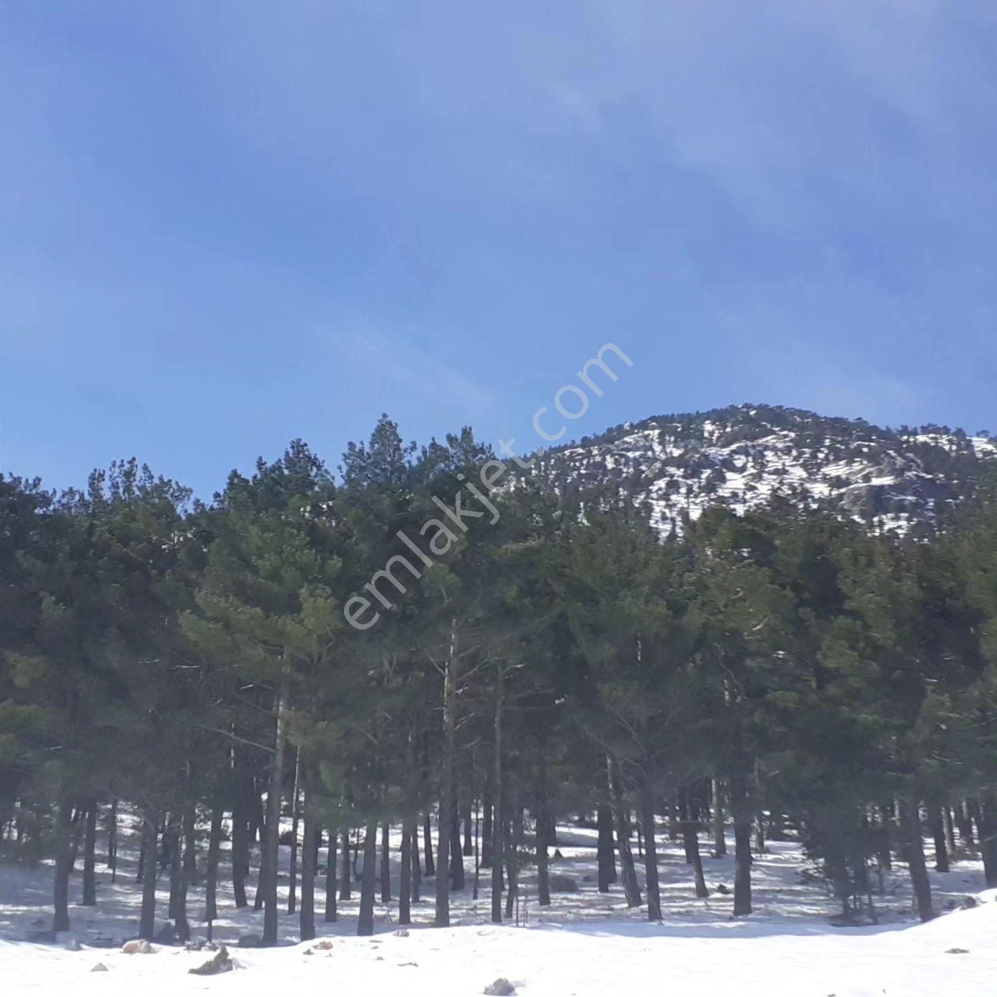 Pozantı Kar Emlak Ve İnşaat Tan Yeni Konacık Bozkırlı Mevkiinde Yaylalık 400 M2 Satılık Arsa - Görsel 6