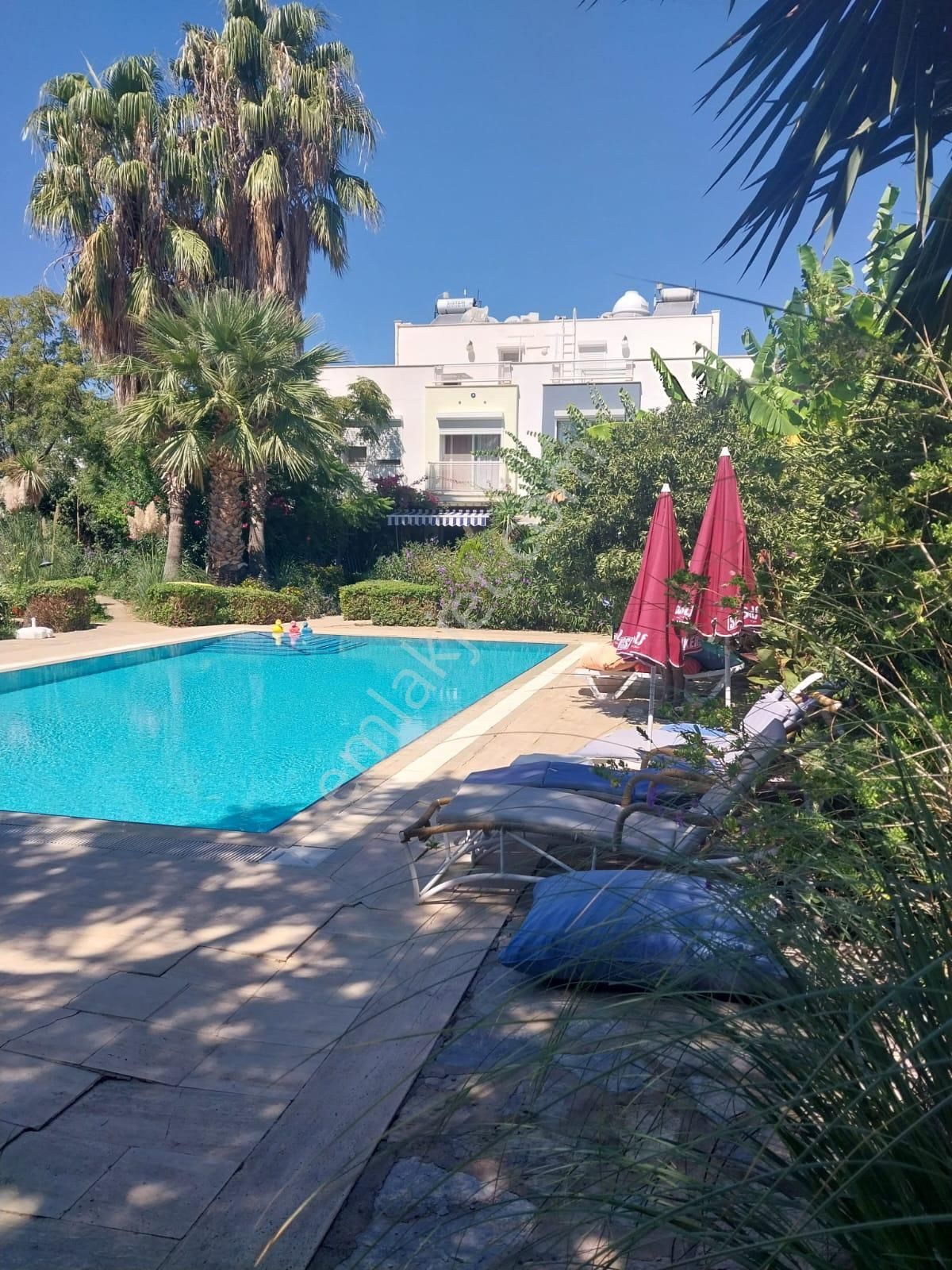 Bodrum Turgutreis Havuzlu Kiralık Müstakil Ev