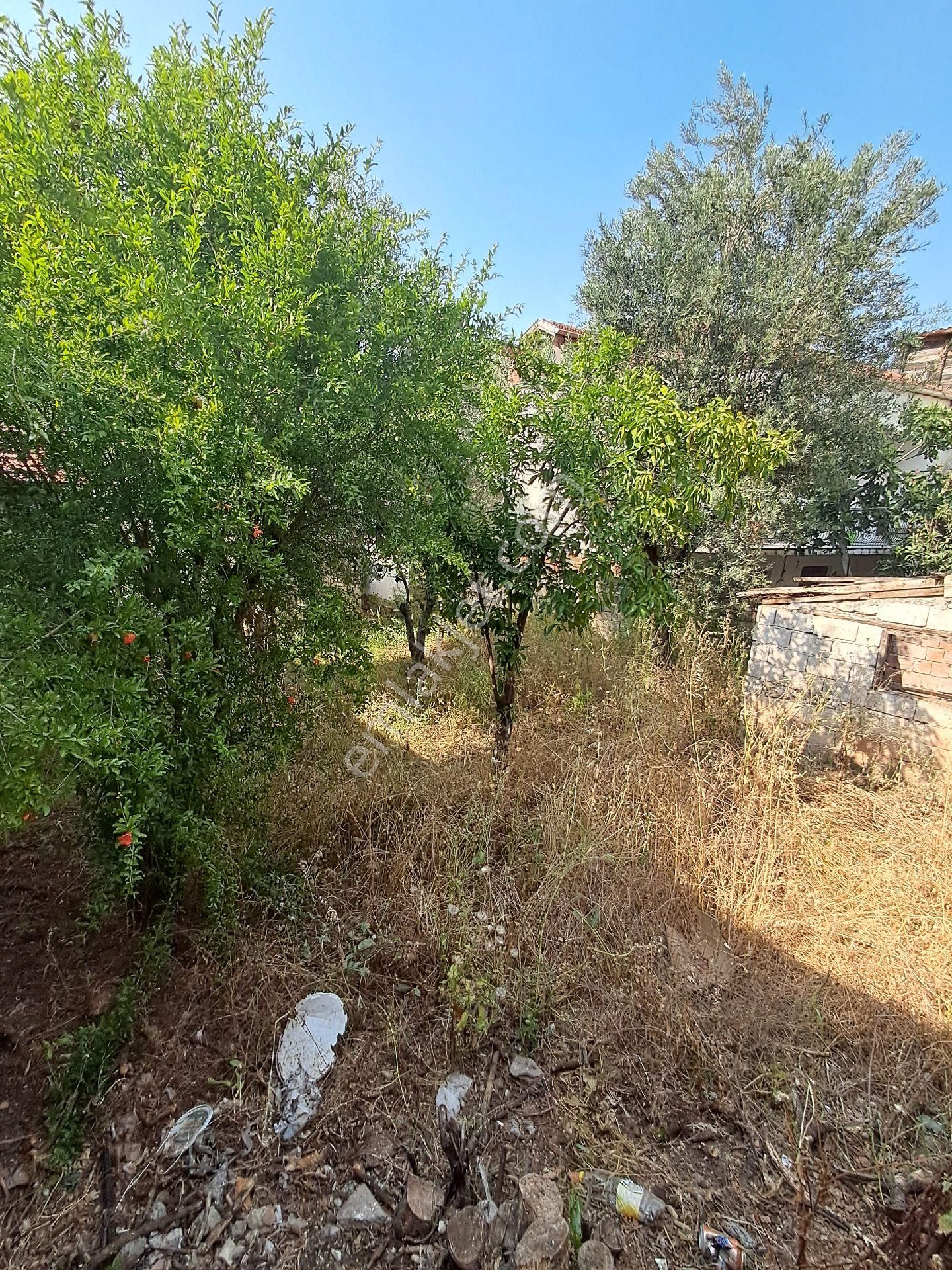 Fethiye Kesikkapida Satılık 232m2 %40 İmarlı Arsa Fırsat - Görsel 4