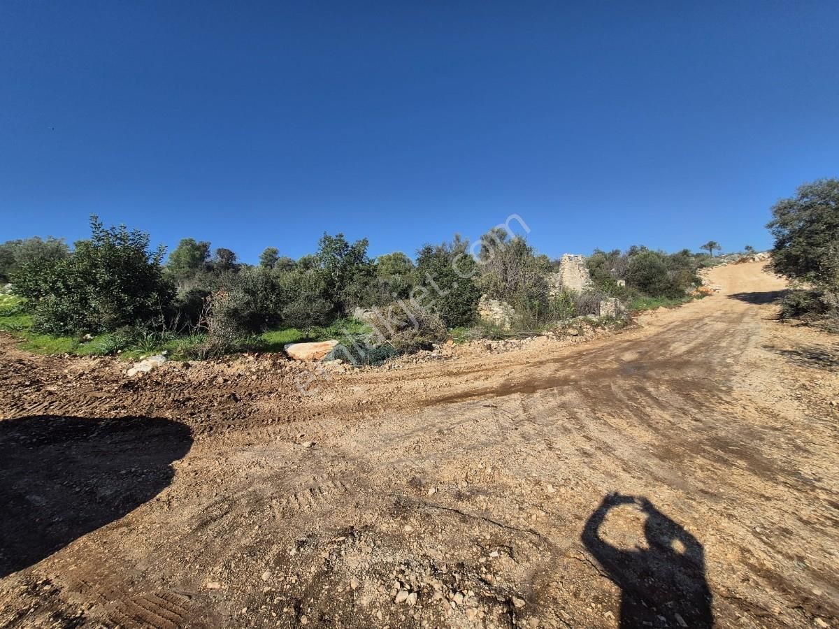 Antalya Demre Büyük Kum Da Satılık Hisseli Tarla