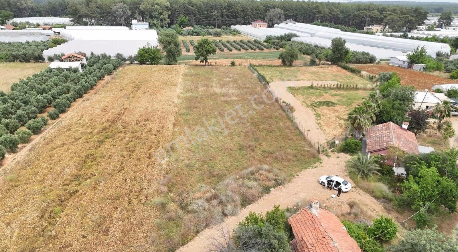 Ev Depo Sera Yapımına Uygun Mahalle İçi Satılık Tarla