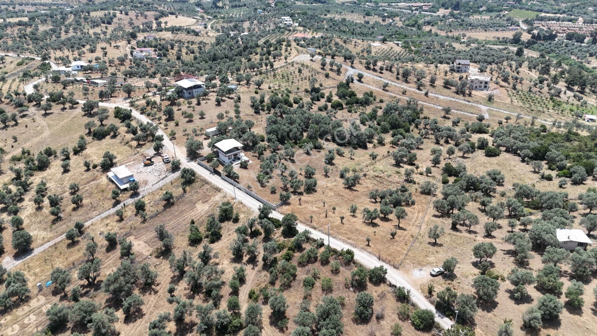Akçaköyde Manzaralı Tepede 1/2 Hisseli Yerde 2750 M2 Menderes İzmir