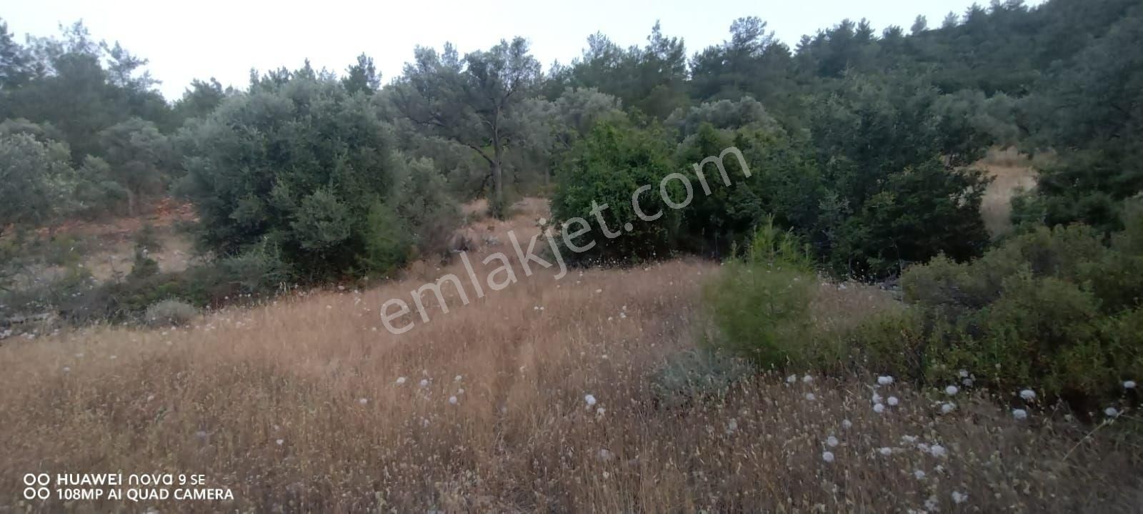 Akbük Koyunda Kupon Satılık Kupon Tarla
