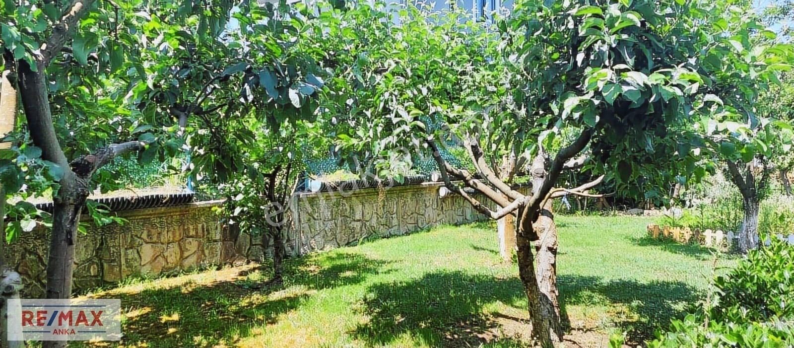 Remax Anka Çavuş Mah.satılık %35 Imarlı Arsa