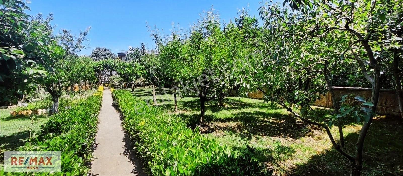 Remax Anka Çavuş Mah.satılık %35 Imarlı Arsa - Görsel 11