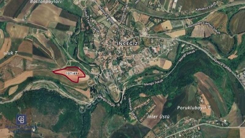 Satılık Çatalca İnceğiz'de 3538 M² Hisseli Çaplı Çevreli Tarla