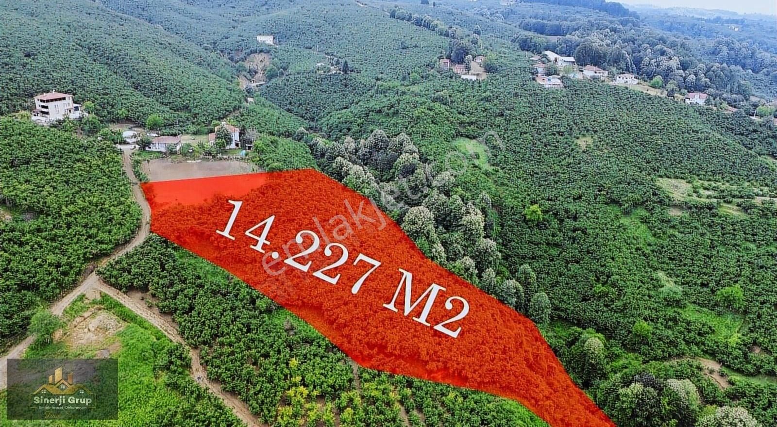 Sinerji Grup'tan 14.227 Metrekare Resmi Yollu Fındıklık