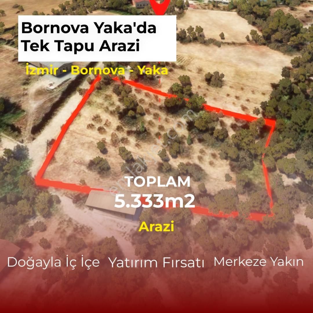 Kw Cobans'dan Bornova Yakaköy Köy Sınırında Emsalsiz Yatırım Fırsatı – 5.333 M² Tarla!