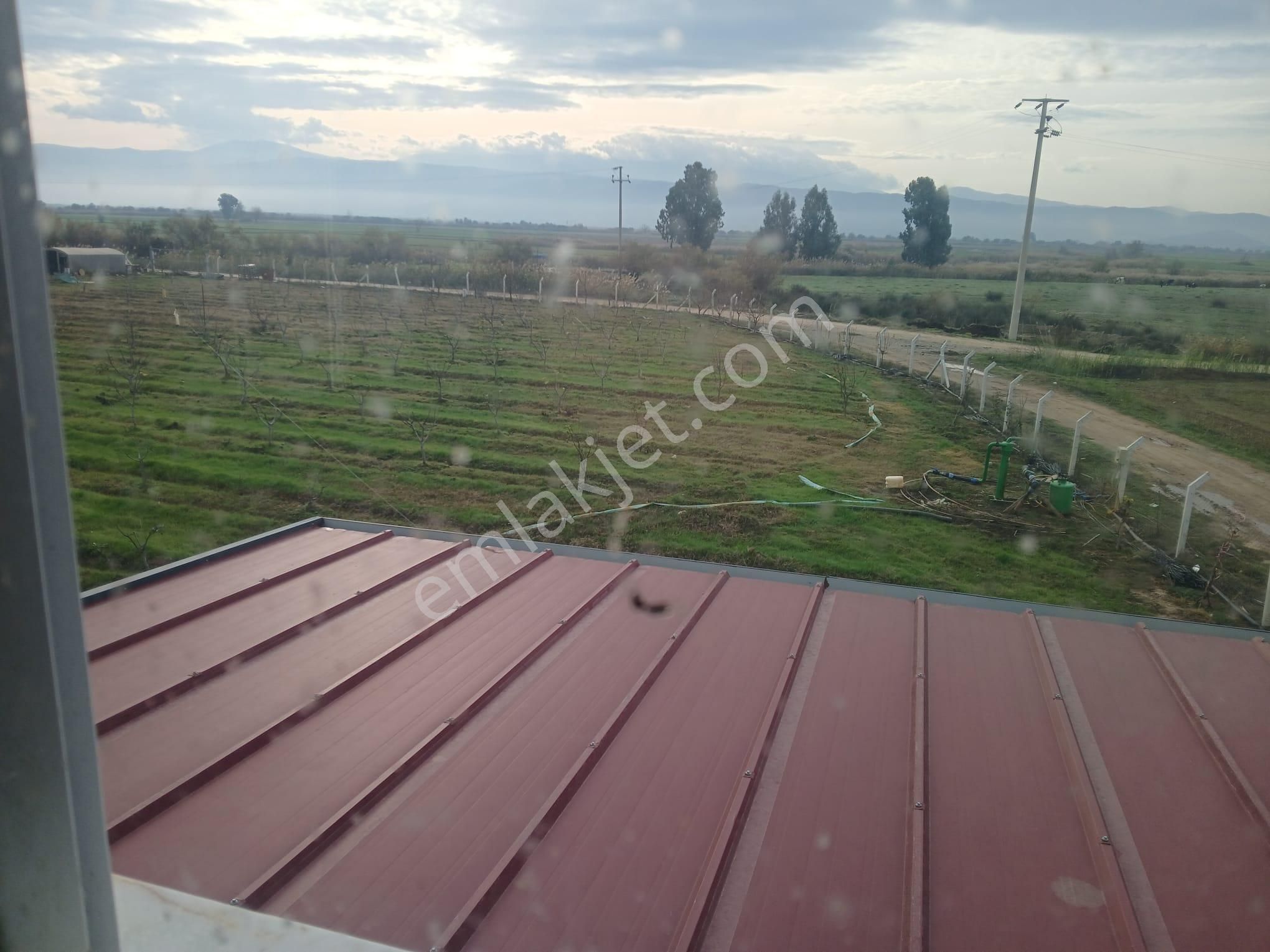 Aydın Köşk’te Verimli Tarım Arazisi Ve Çiftlik Evi Satılık!
