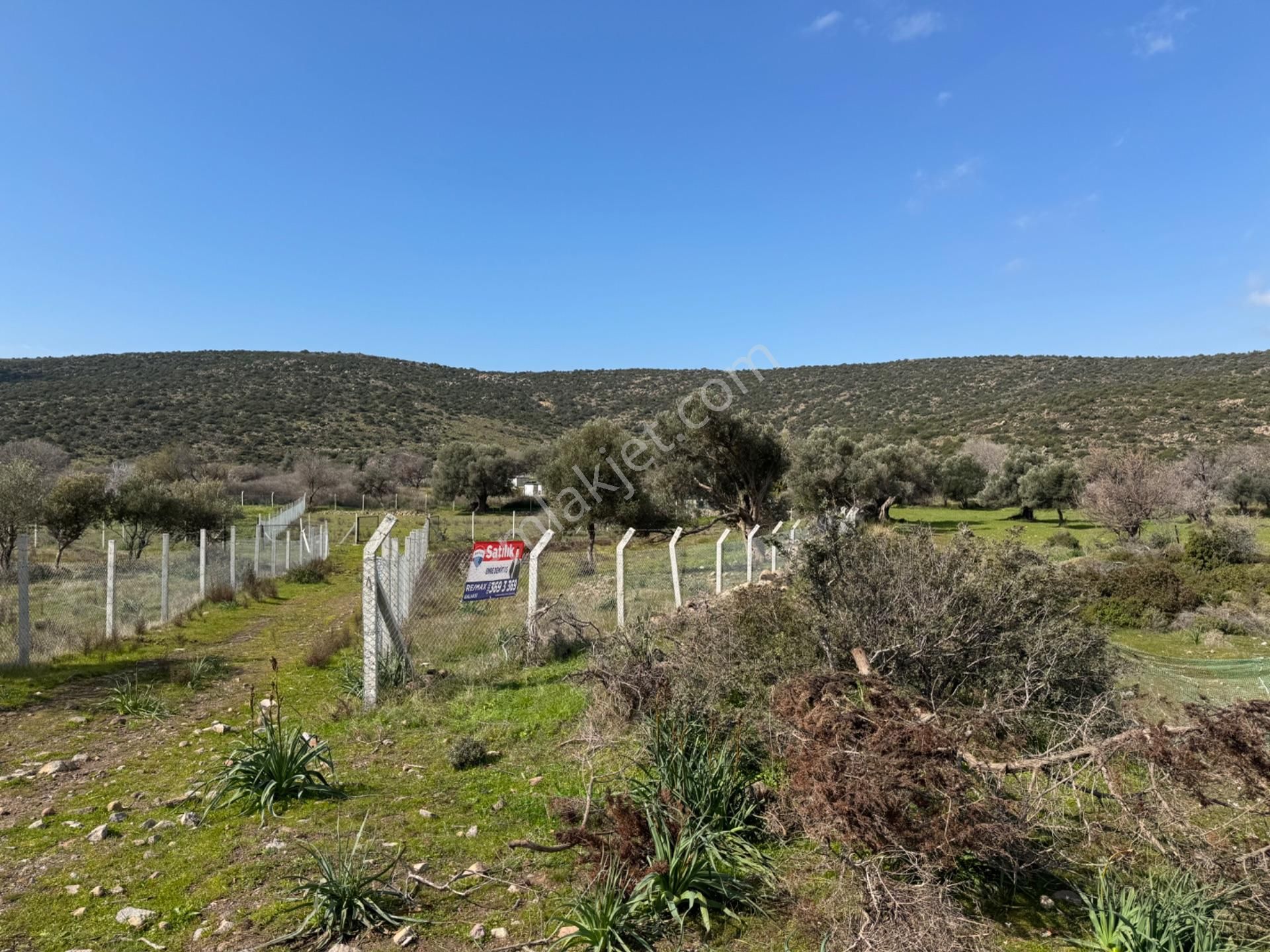 Urla Zeytineli Köyünde 1156 M2 Tarla