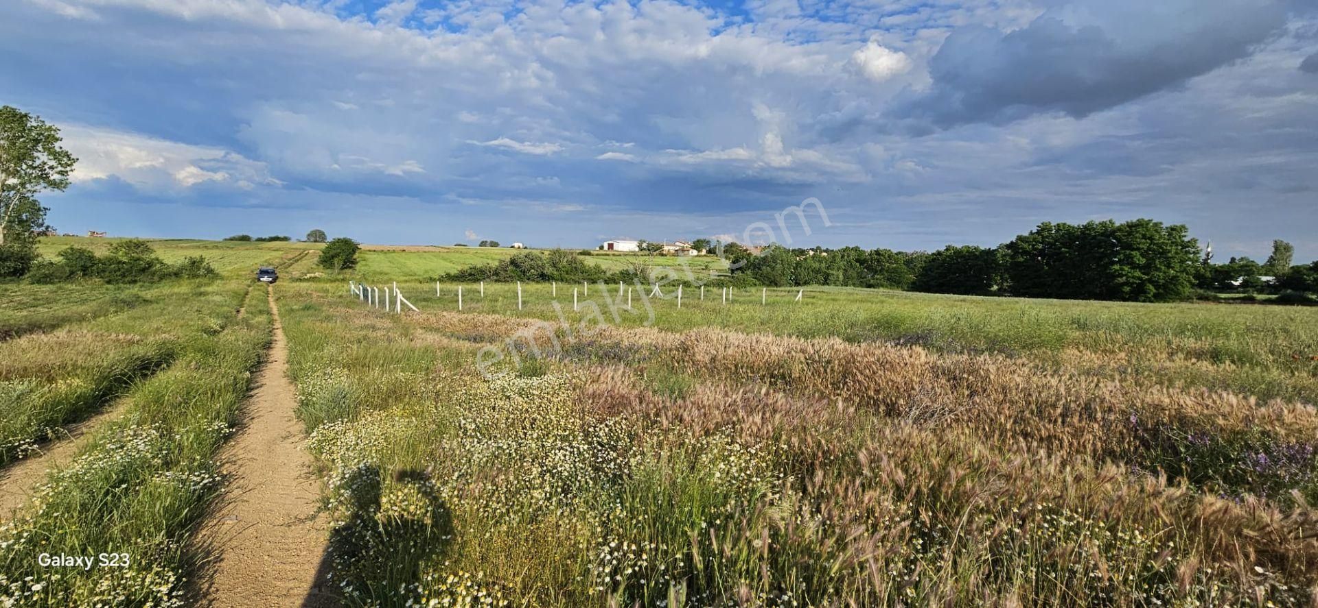 Edirne Tatarlar Köyünde 909 M2 Arsa