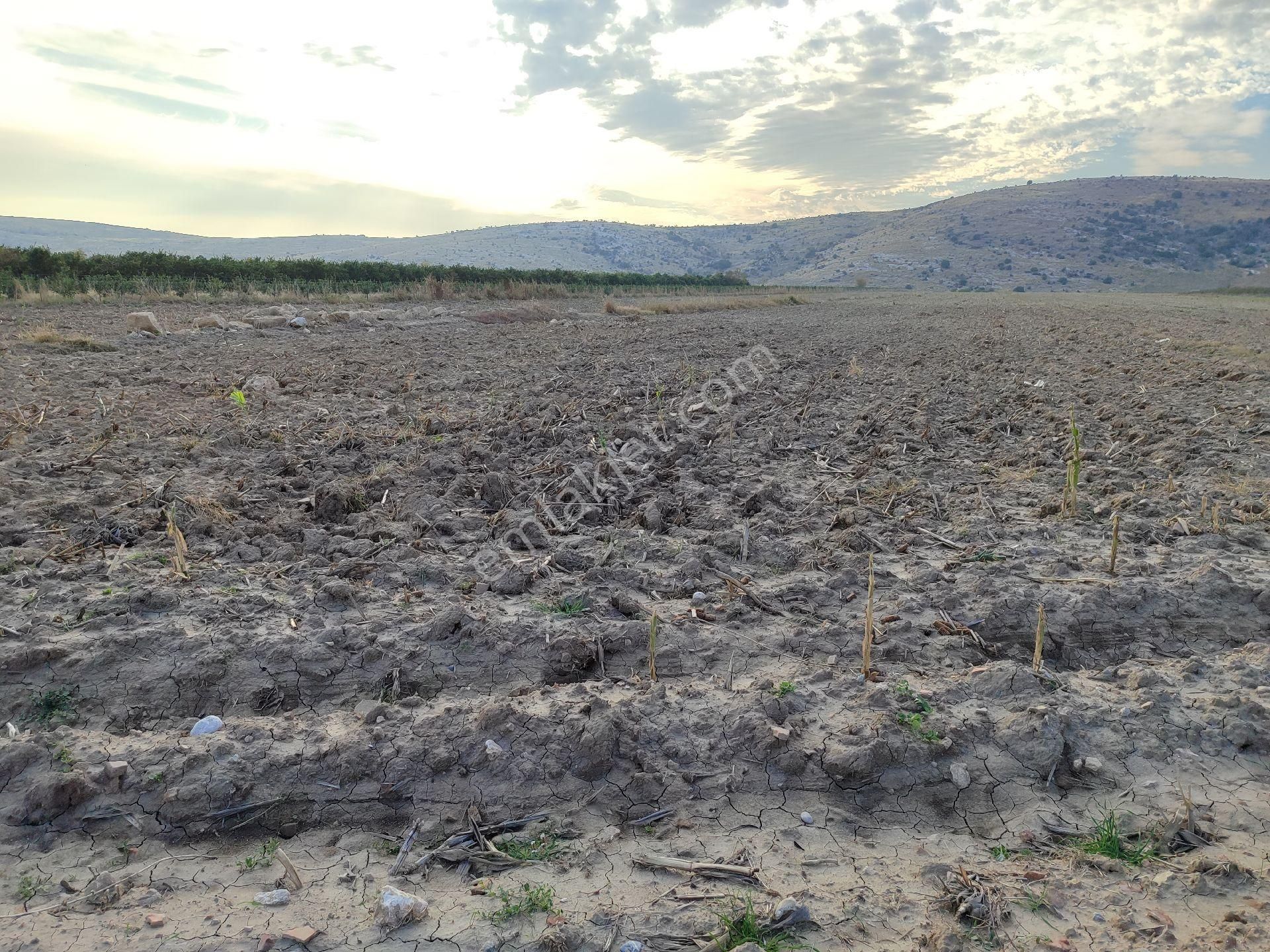 Satılık Tarla