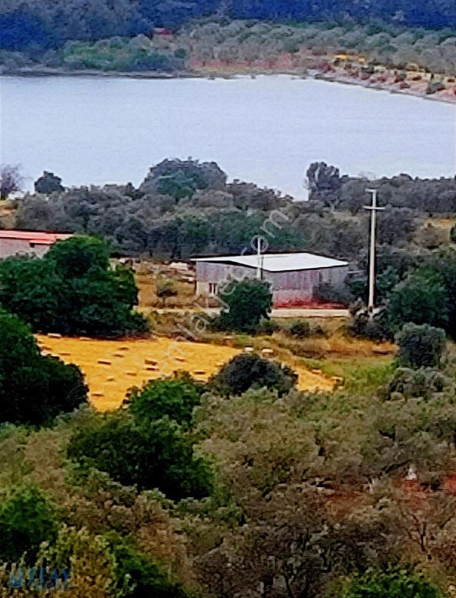 Yukarıkırıklar Köyünde Baraj Manzaralı Satılık Zeytinlik