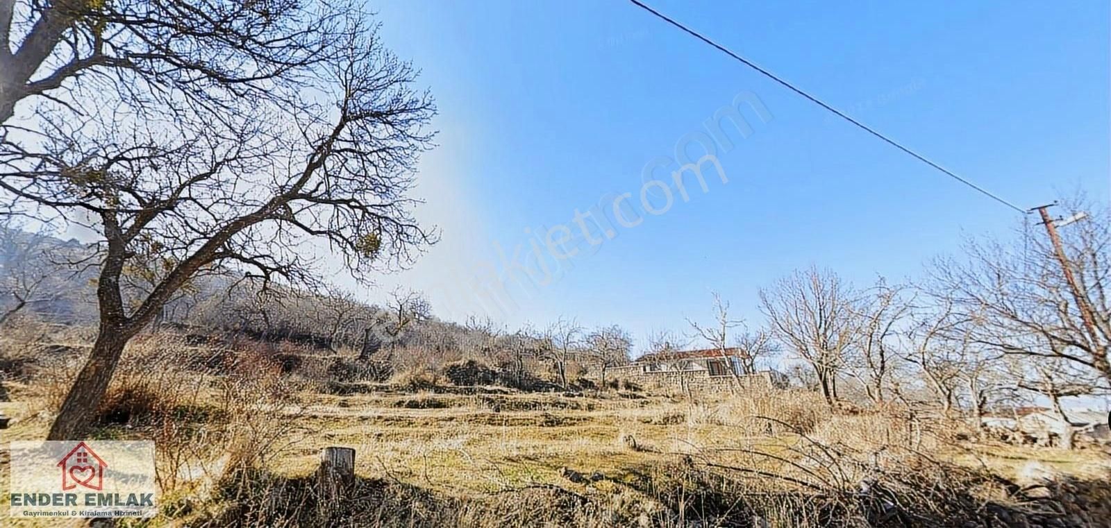 Talas Endürlük De Bağ 399 M2 Satılık