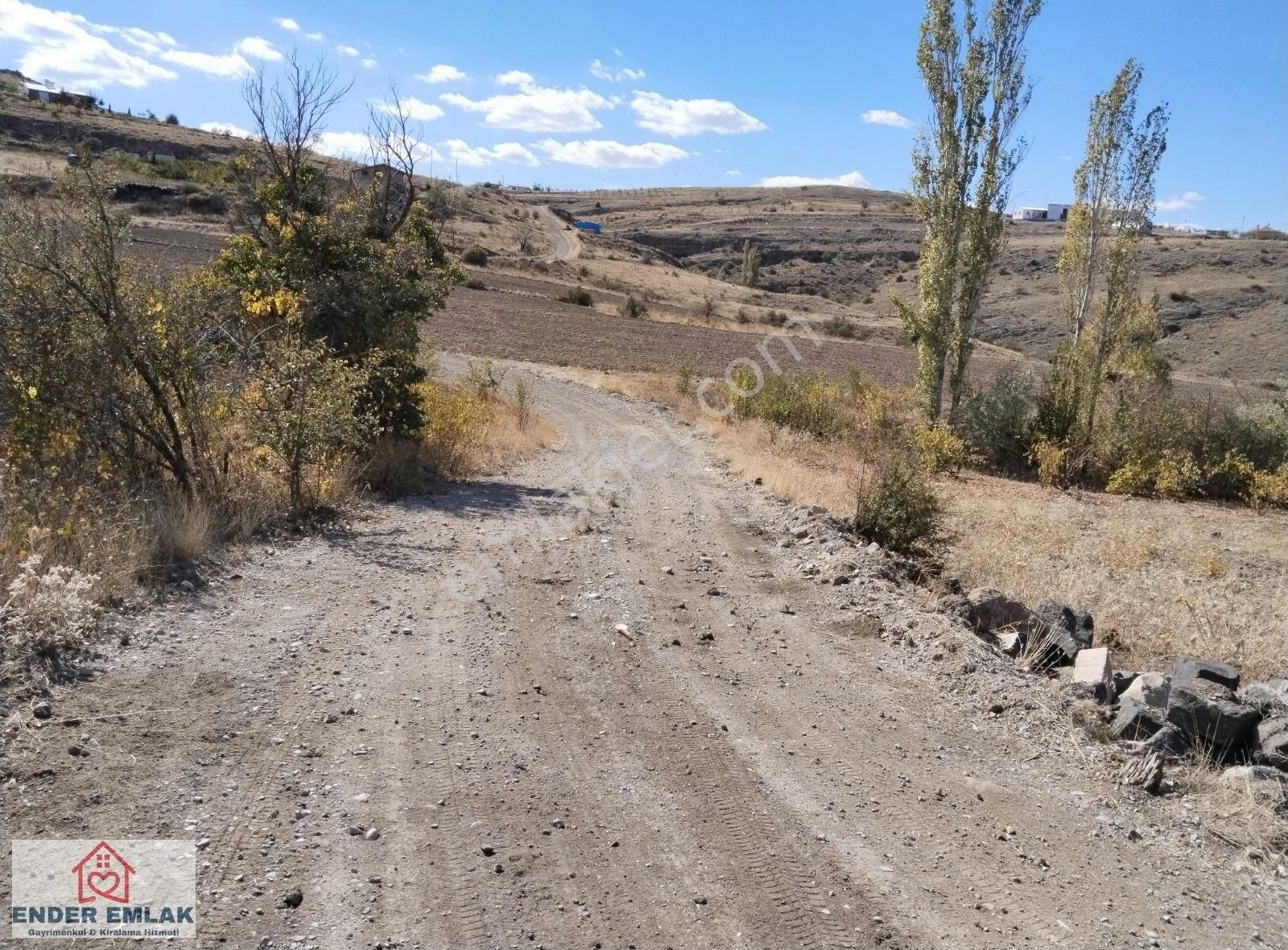 Acil Kuşçu Da Satılık Tek Tapu 1539 M2 Bağ - Görsel 9