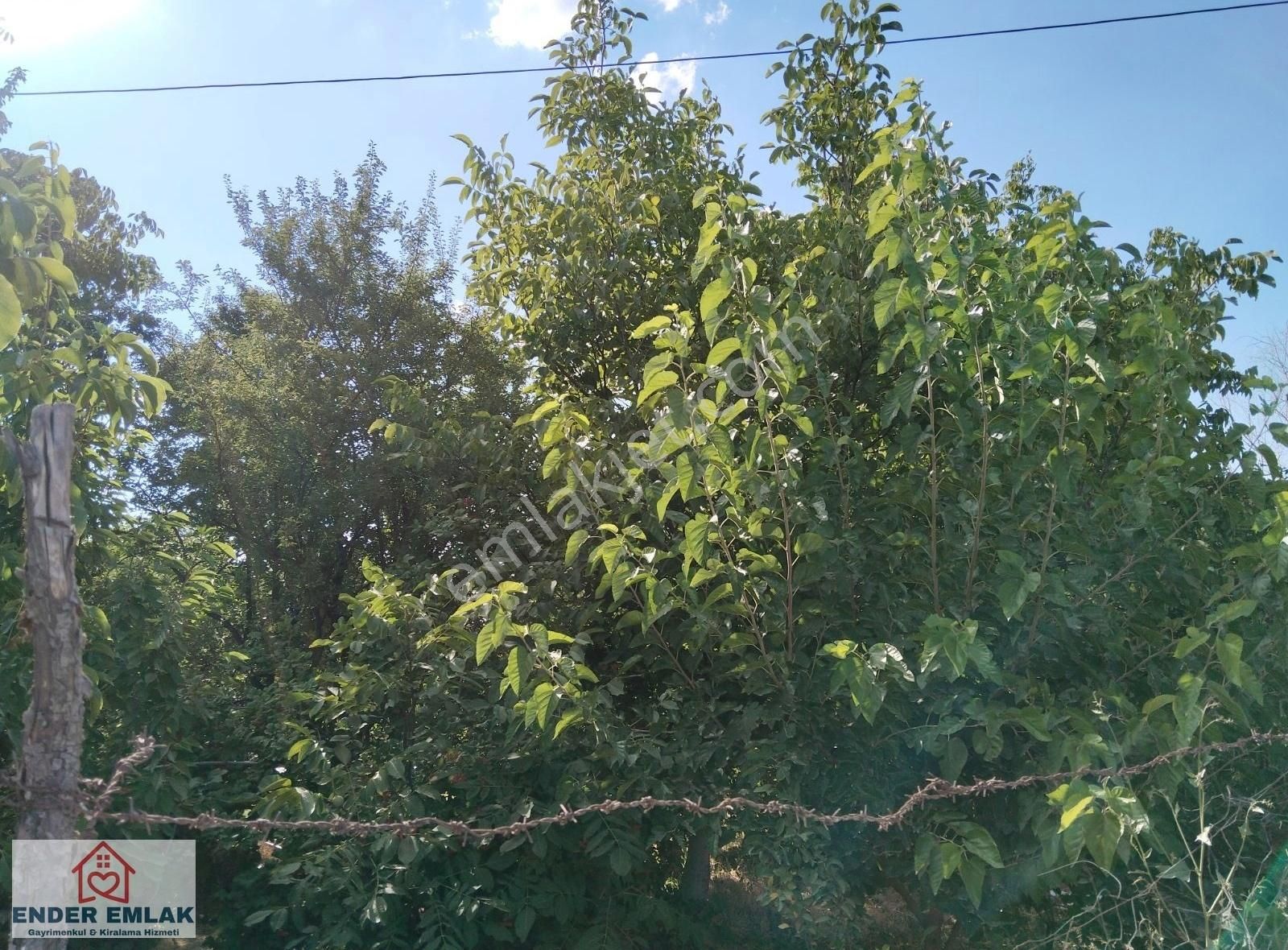 Saraybosna Mahallesi Satılık Müstakil Evli Arsa - Görsel 18