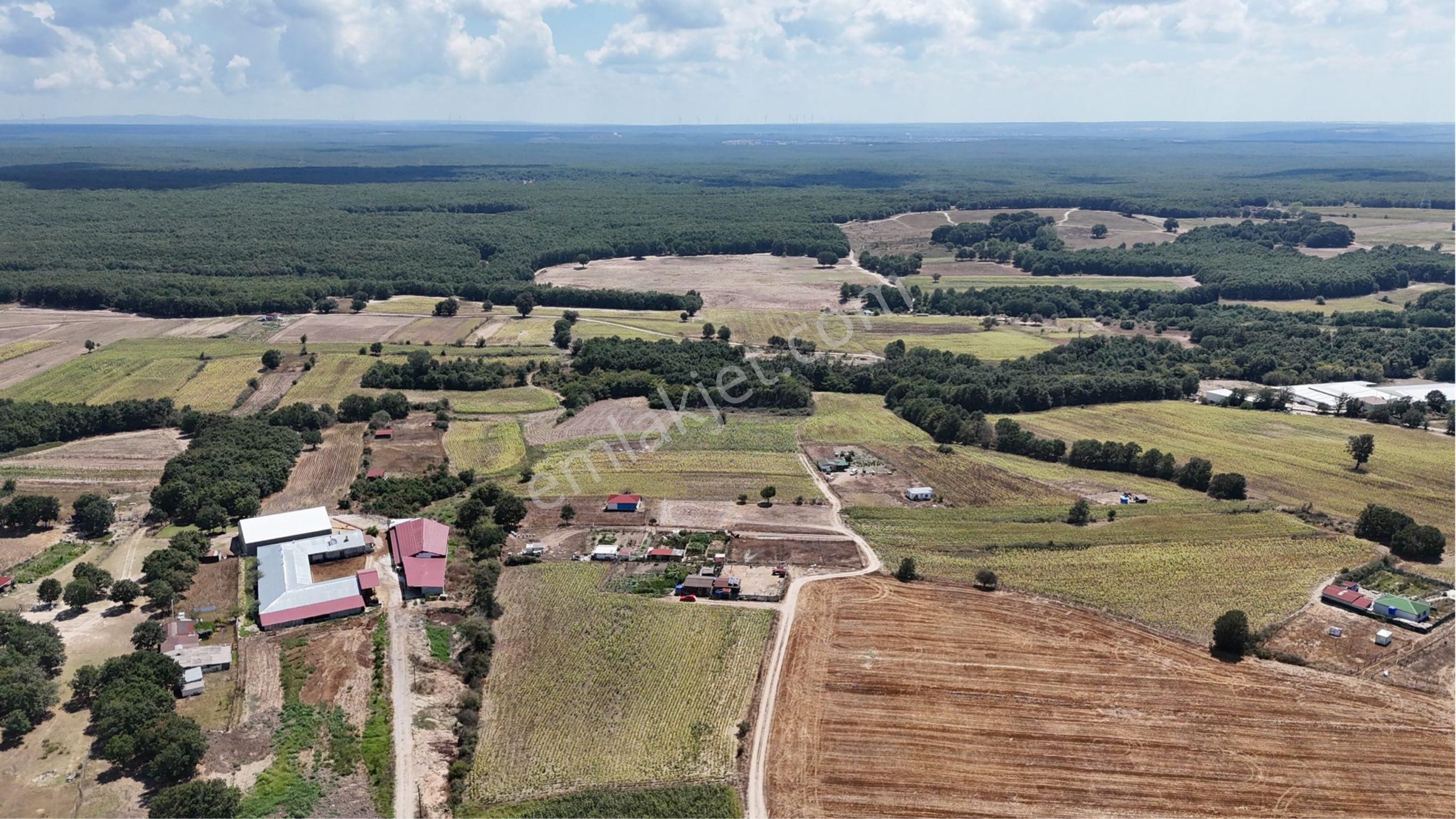 Tekirdağ Kapaklı Pınarça’da 523 M2 Tek Tapu Satılık Tarla