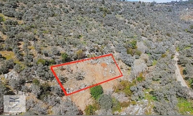 Milas Dörttepe'de Harika Bir Arazi Müstakil Tapu, Fiyat Düştü