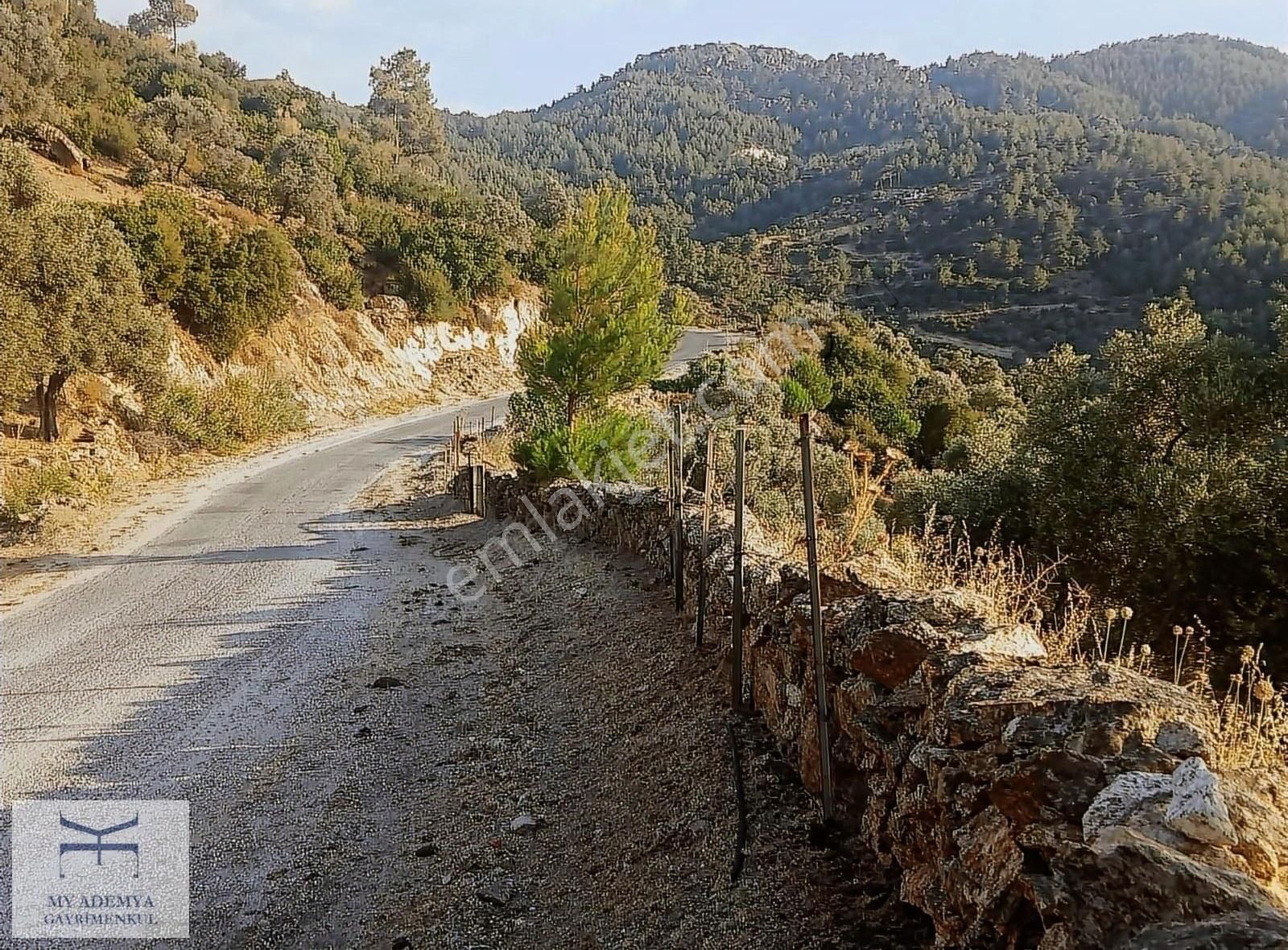 Ege'de Ev Yapmaya Uygun 500 M2 Kelepir Arazi, Zararına Satış