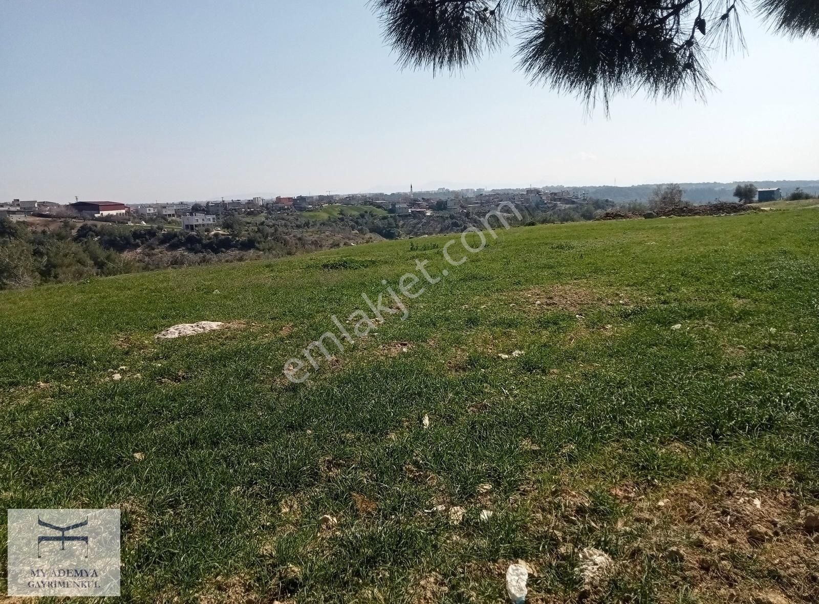 Adana Sarıçam Kılıçlı Yerleşim Yeri İçi Bağ Vasfında Arazi