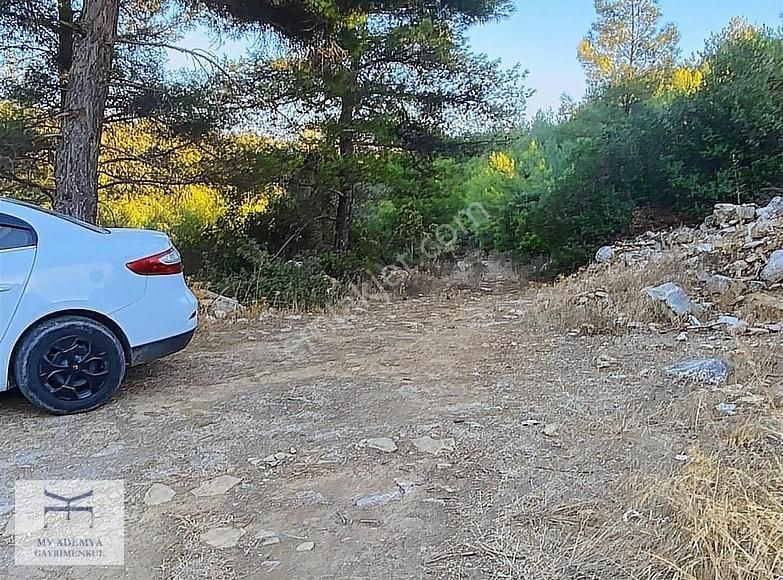 Bodrum Kızılağaç Kelepir Fiyat, 1 Dönüm Acil Satılık Arazi