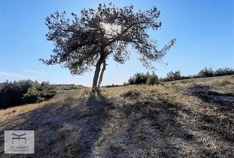 Sarıçam Kılıçlı 385 M2 Arazi, Bayram Fırsatı