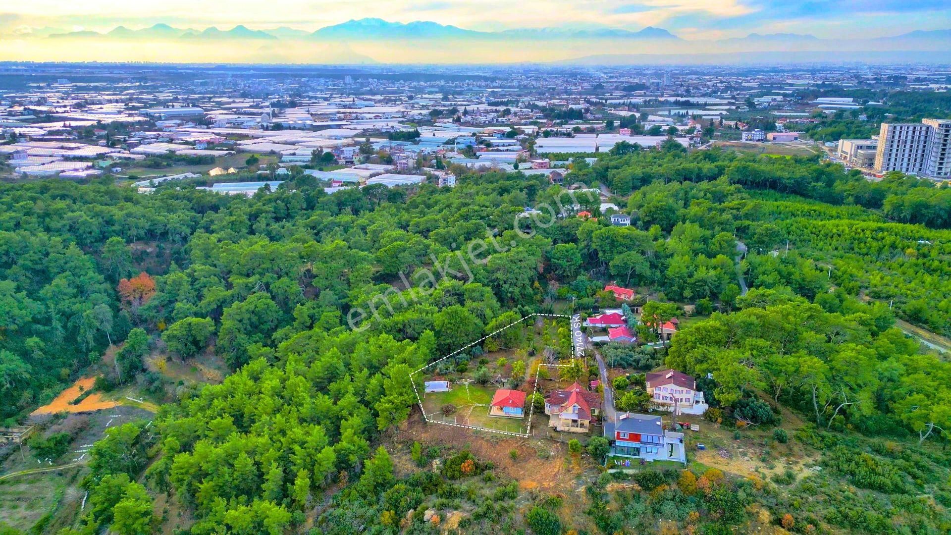 Hacıaliler'de 3,7 Dönüm Arazi İçinde Deniz Manzaralı Müstakil Ev - Görsel 11