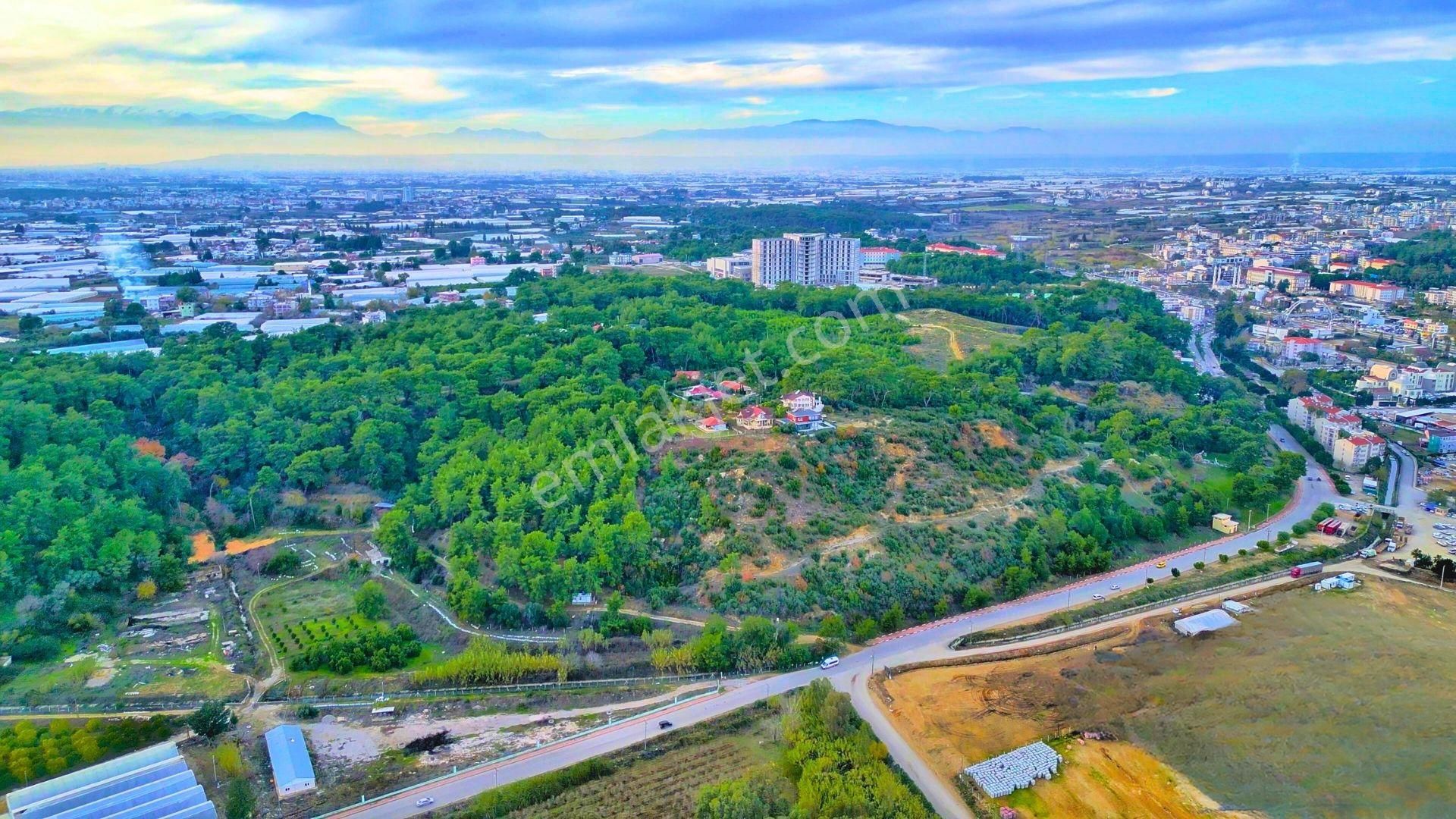 Hacıaliler'de 3,7 Dönüm Arazi İçinde Deniz Manzaralı Müstakil Ev - Görsel 6