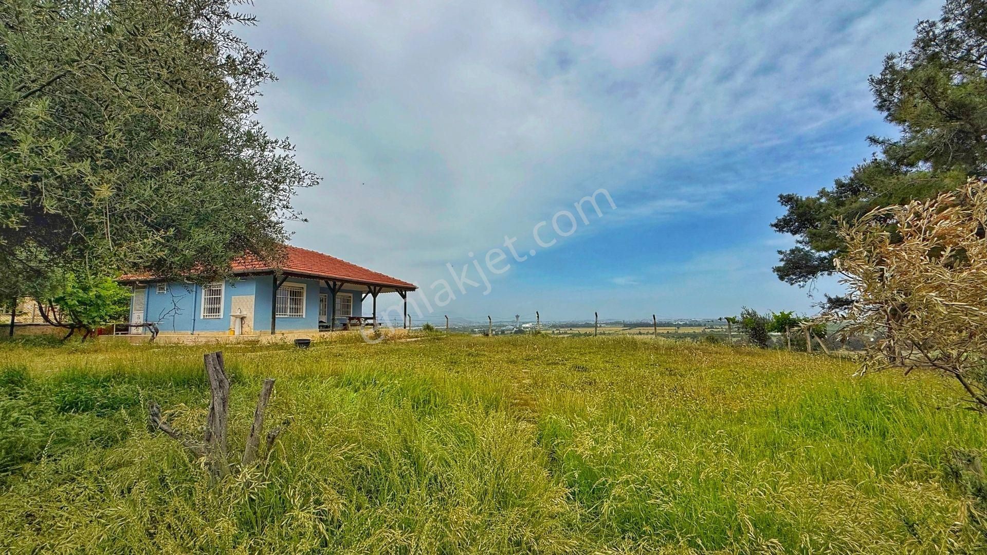 Hacıaliler'de 3,7 Dönüm Arazi İçinde Deniz Manzaralı Müstakil Ev - Görsel 2