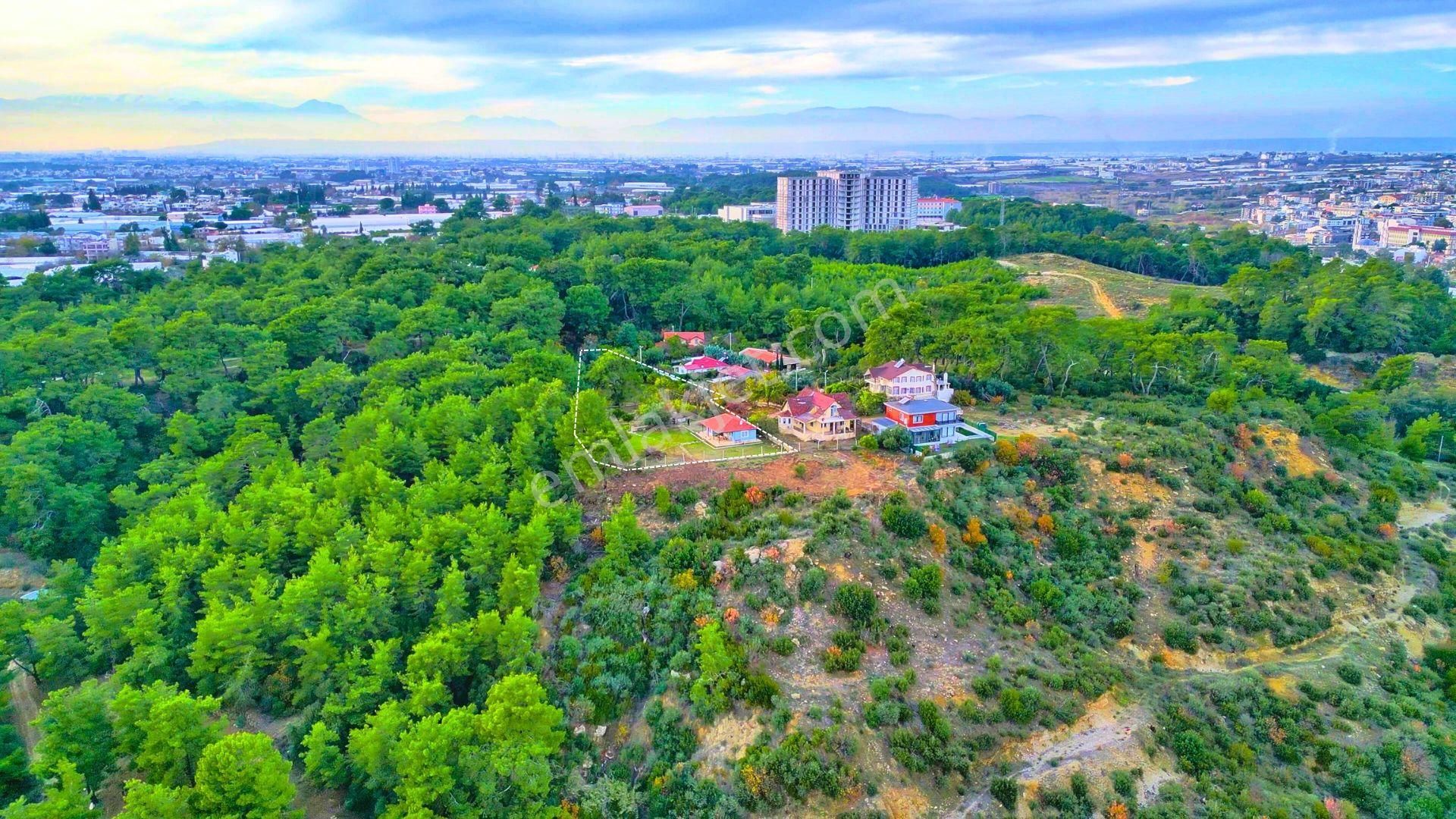 Hacıaliler'de 3,7 Dönüm Arazi İçinde Deniz Manzaralı Müstakil Ev - Görsel 10