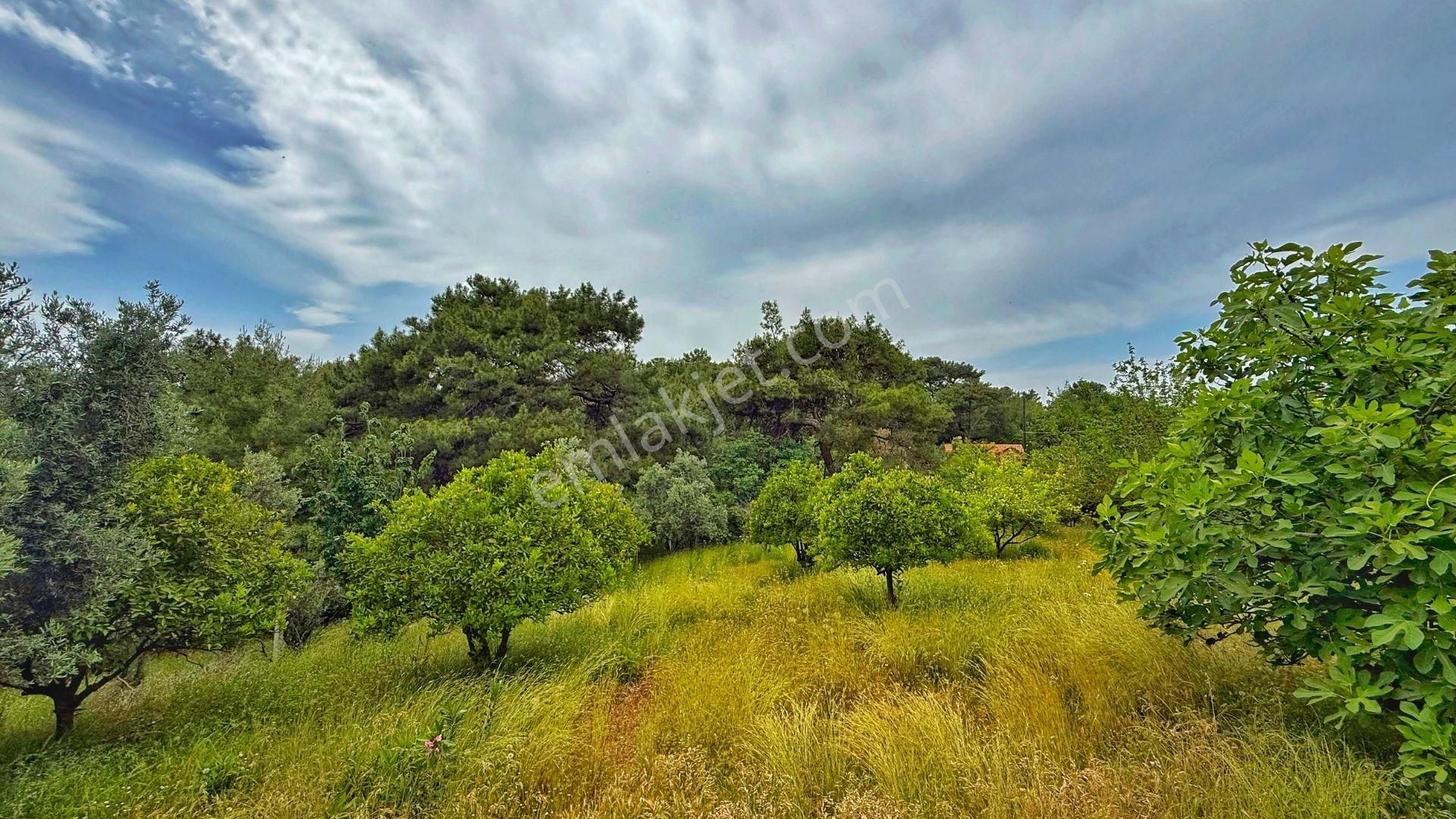 Hacıaliler'de 3,7 Dönüm Arazi İçinde Deniz Manzaralı Müstakil Ev - Görsel 4